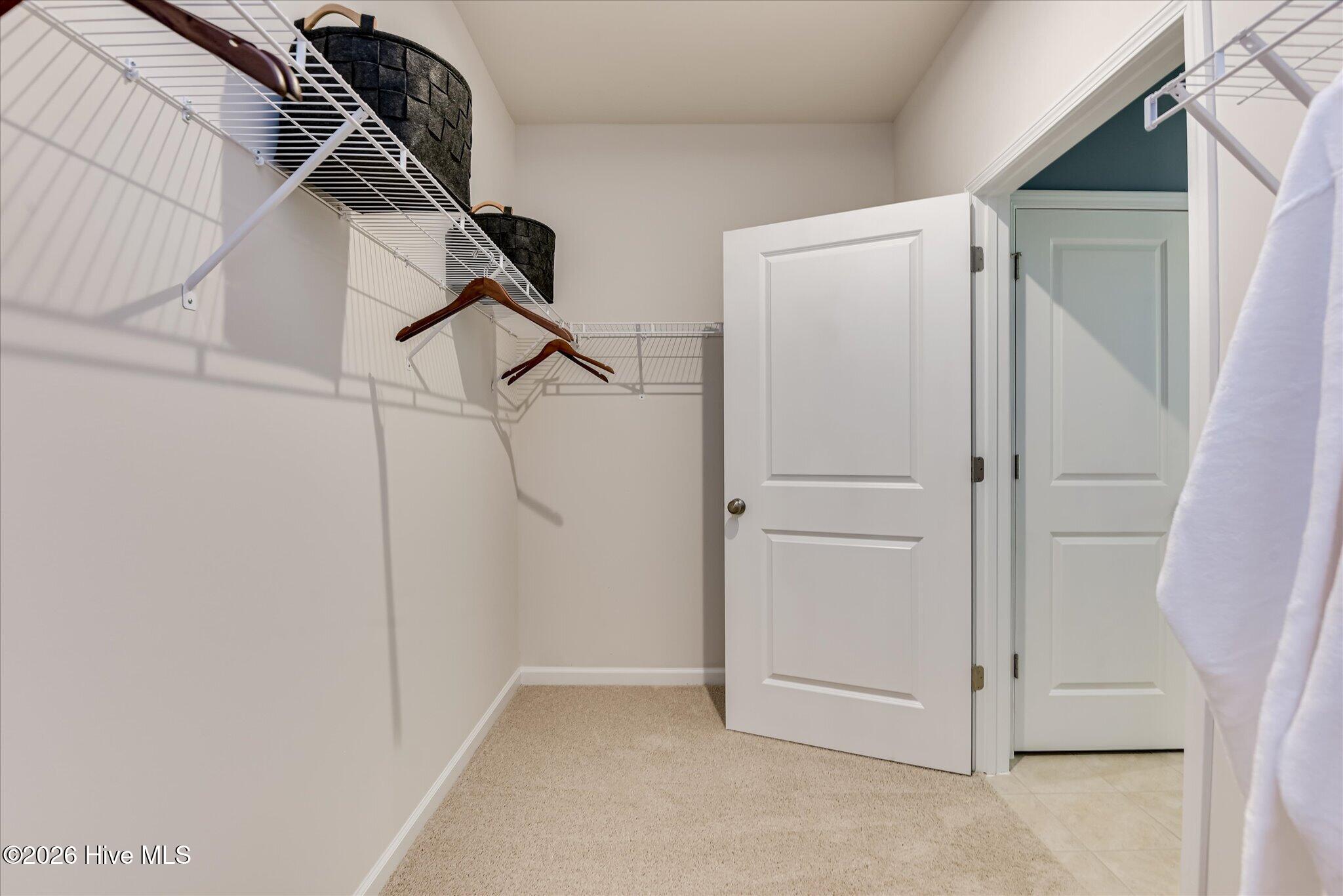 1006 American Egret Way,Morehead City