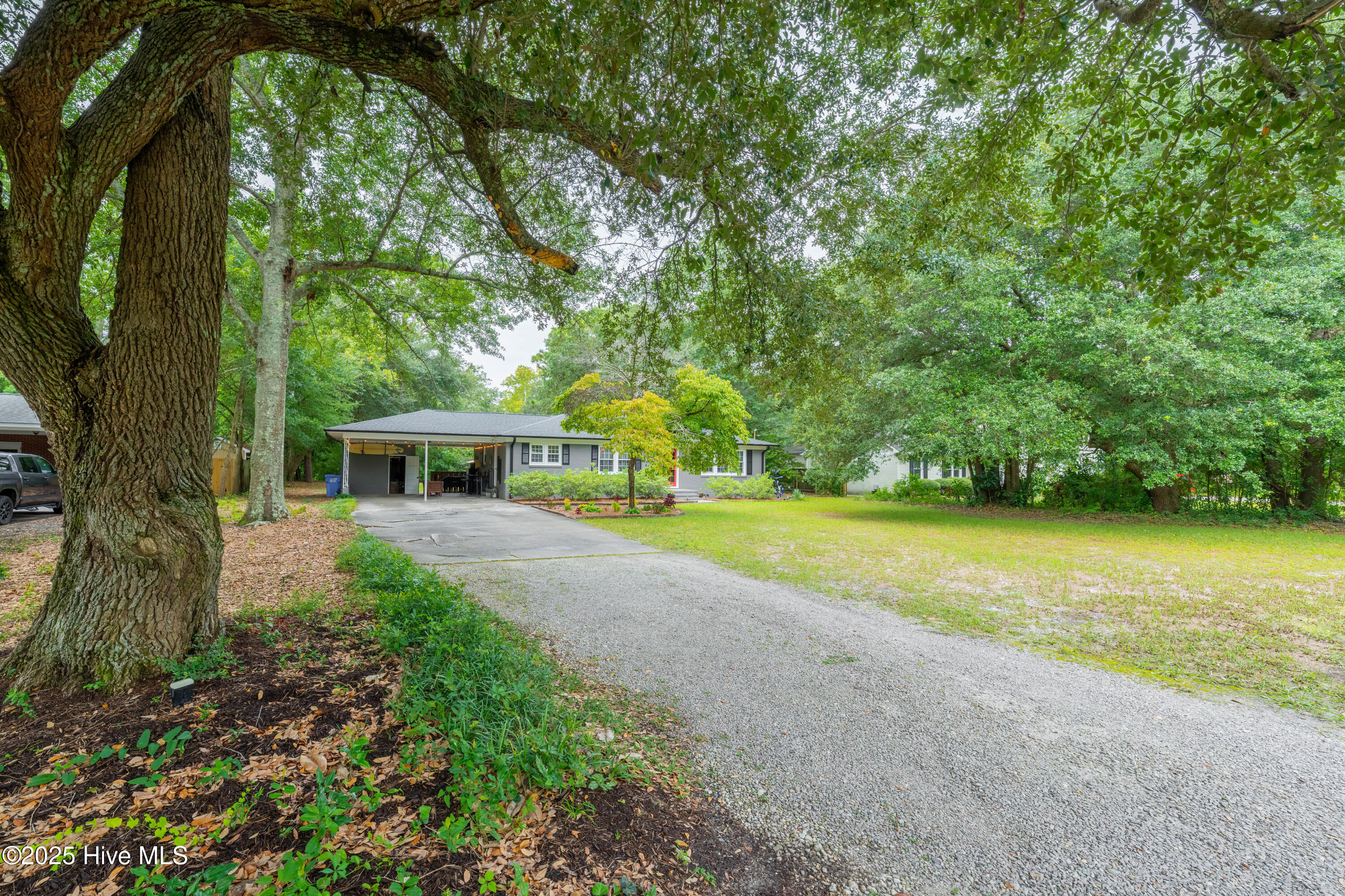 100549318 | Photo 25