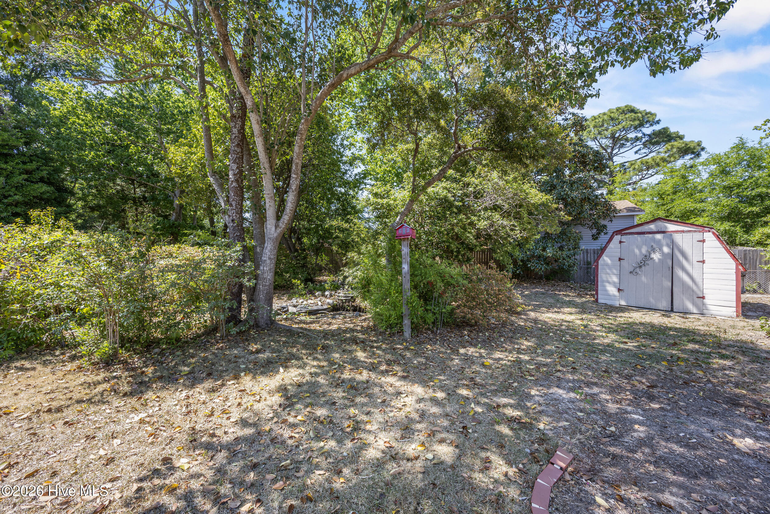 100569025 | Photo 40