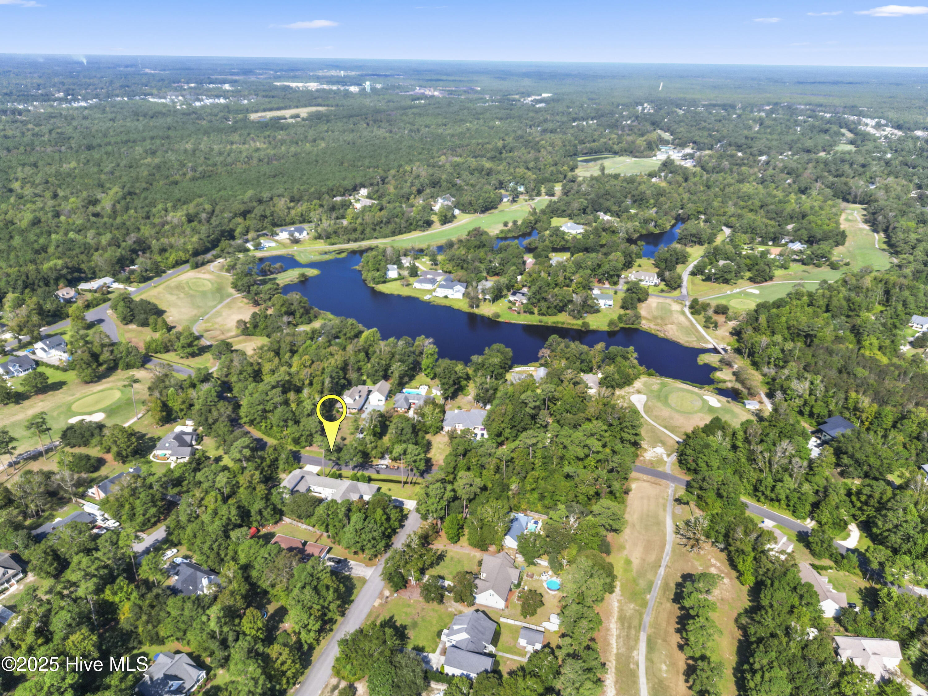 100503346 | Photo 111