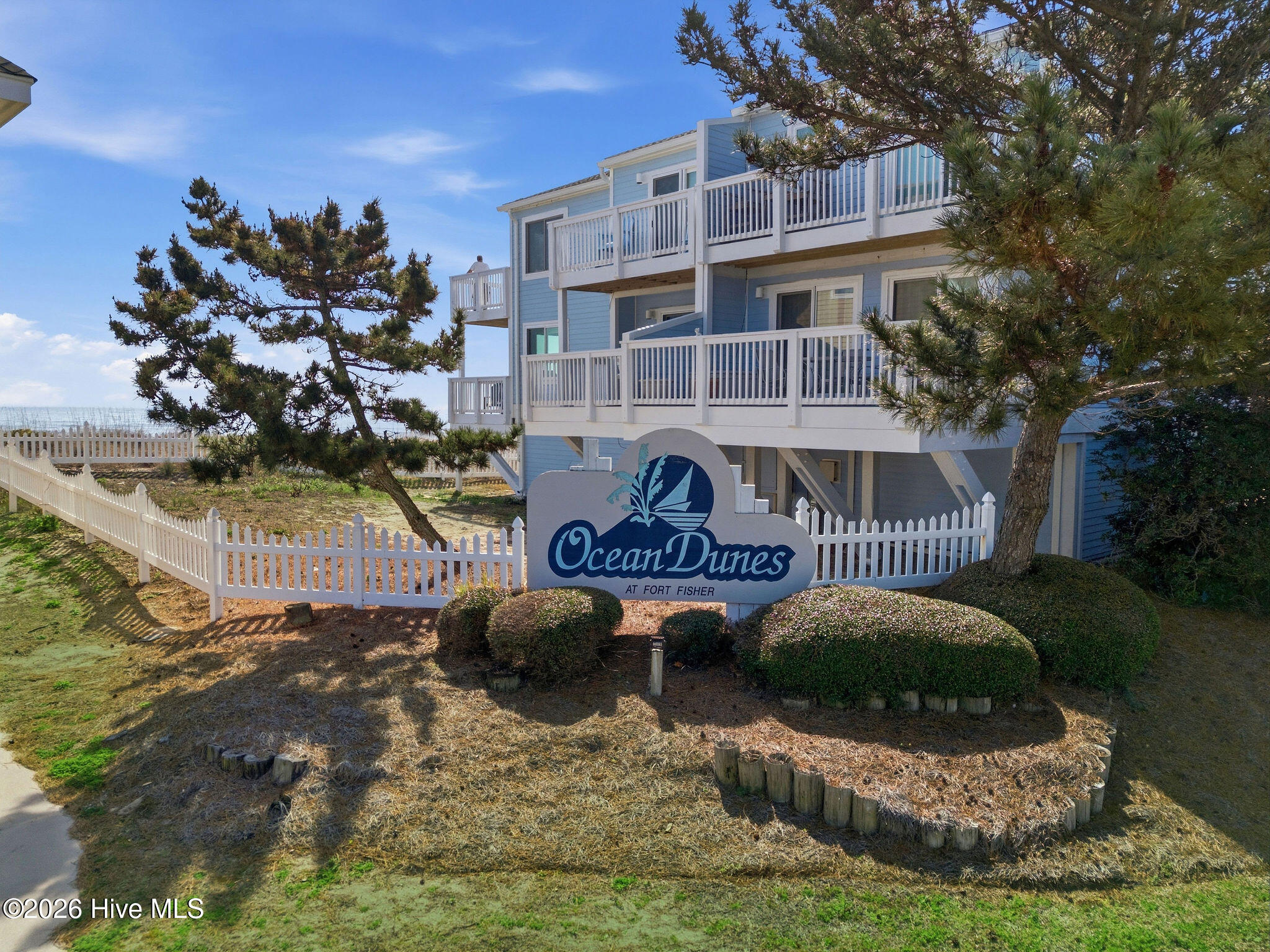 100559575 | Photo 57