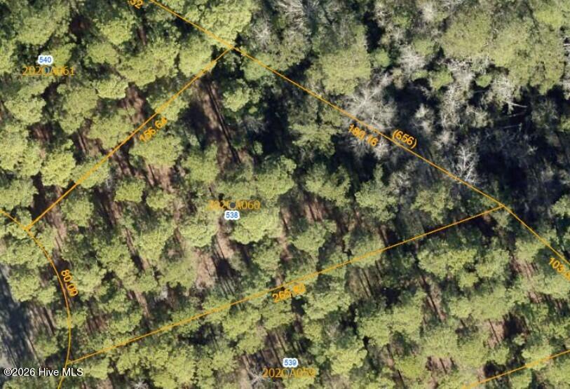 100548888 | Photo 10