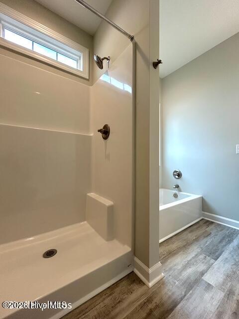 100563392 | Photo 12