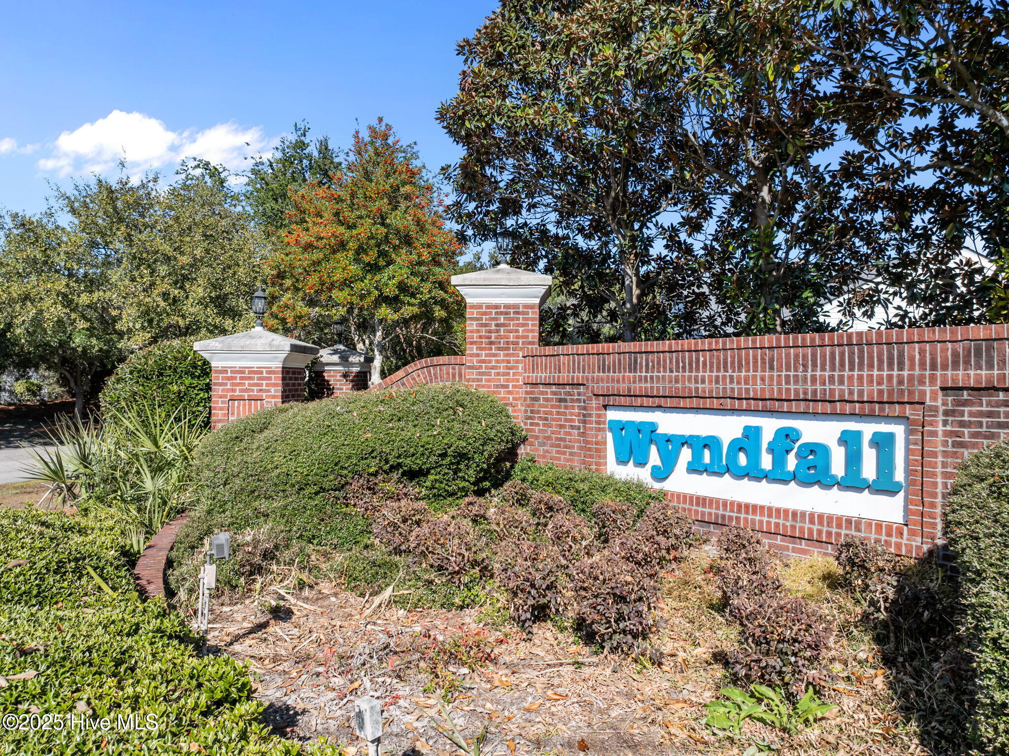 100540137 | Photo 42