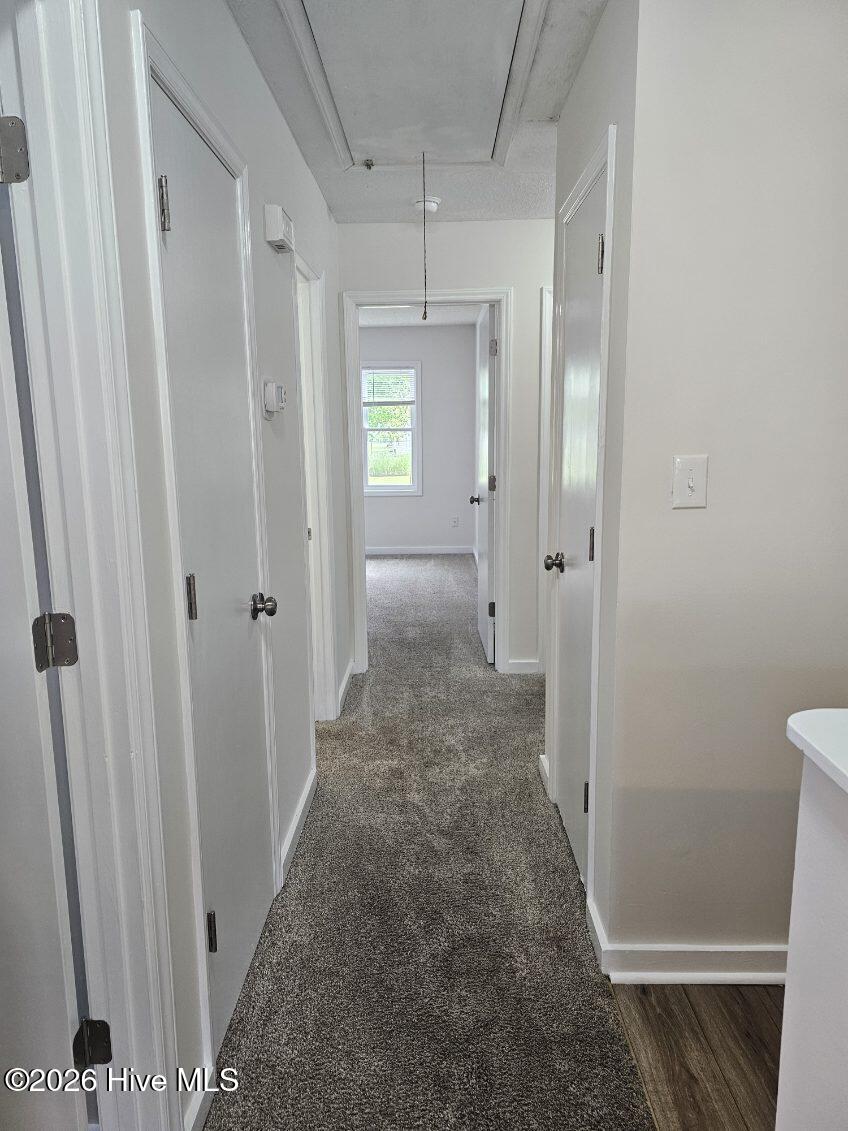 29 O Hara Drive,New Bern