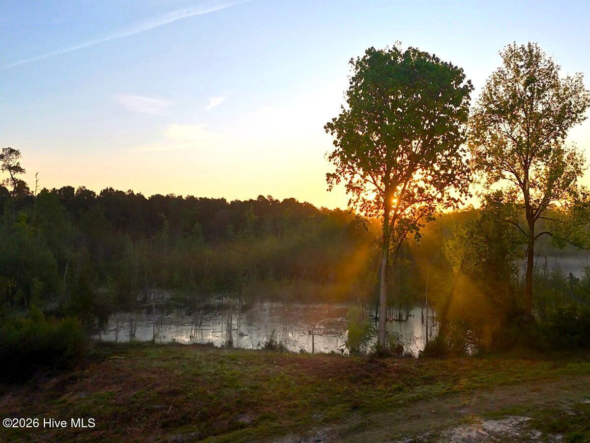 0 Durwood Evans Road, Beulaville, NC, 28518