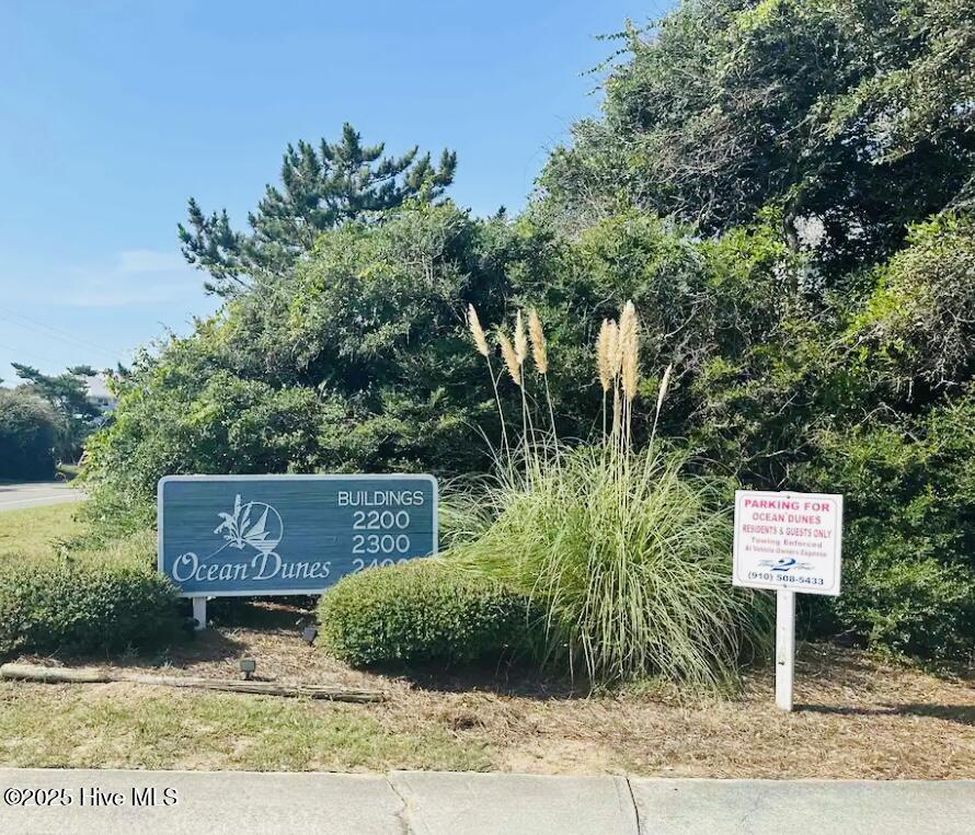 100565403 | Photo 16