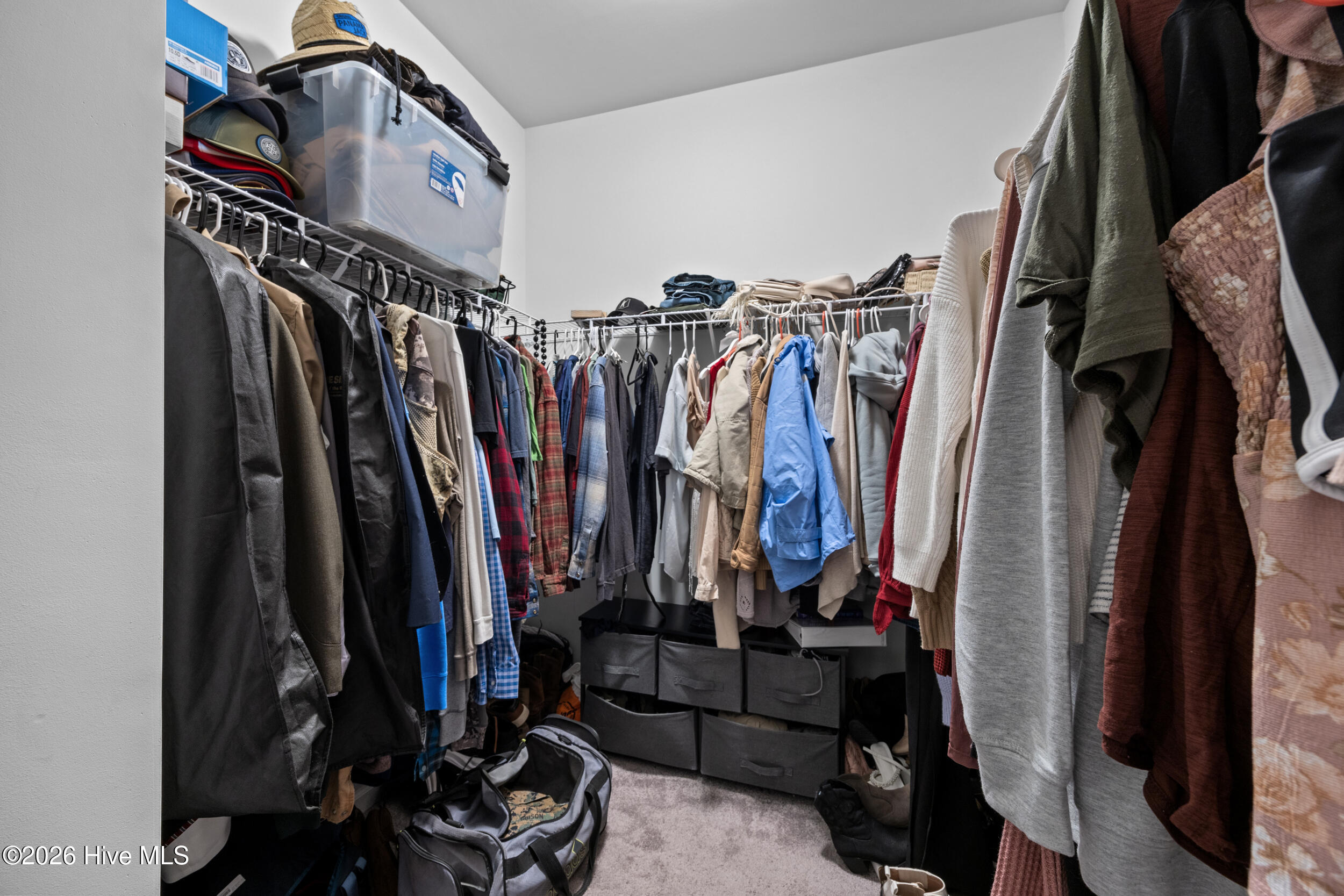 100561982 | Photo 30