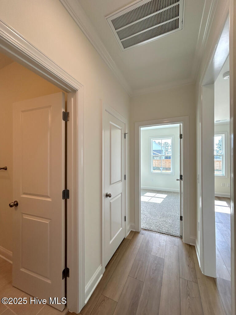 100479294 | Photo 37