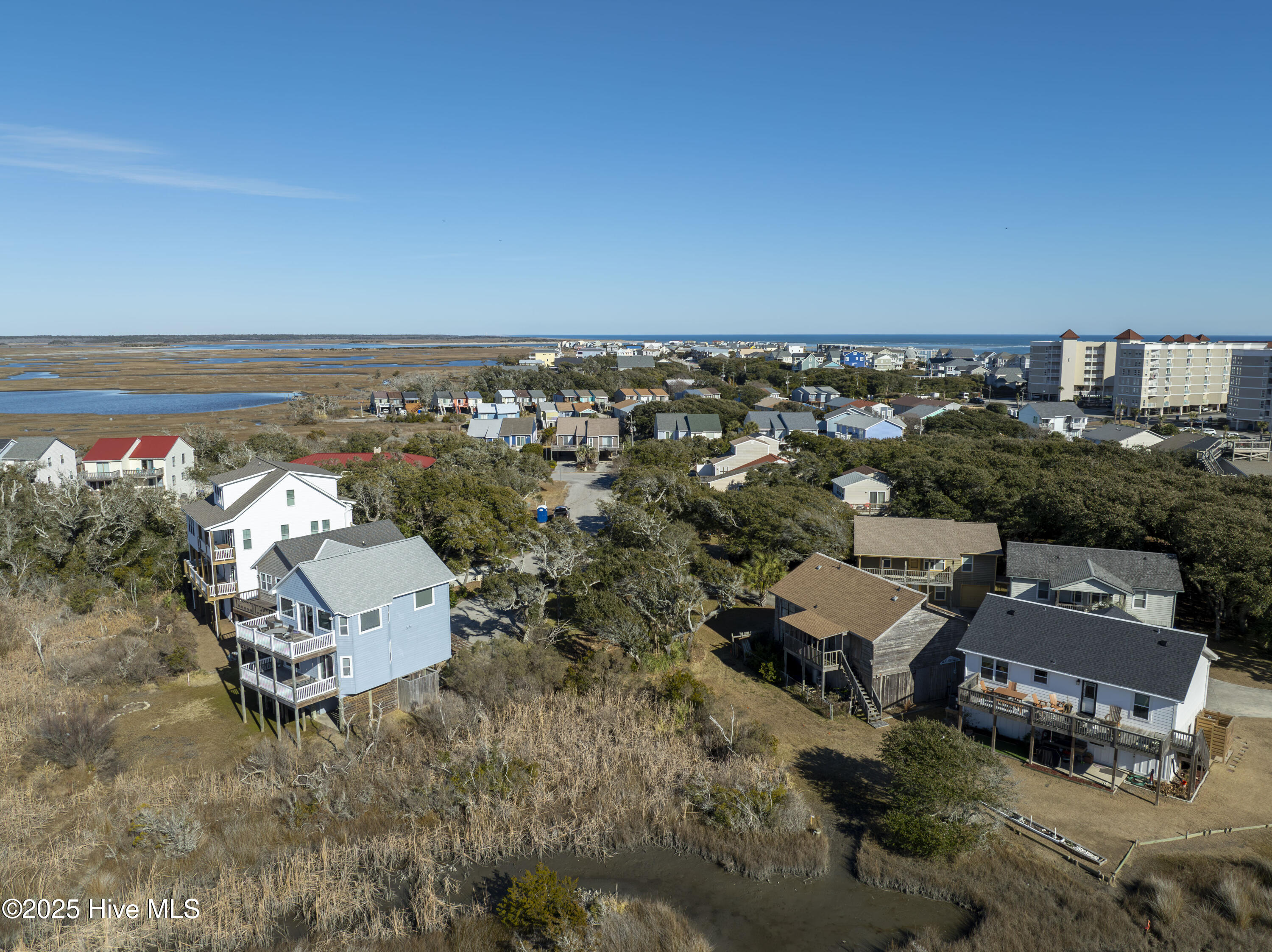 100559028 | Photo 11