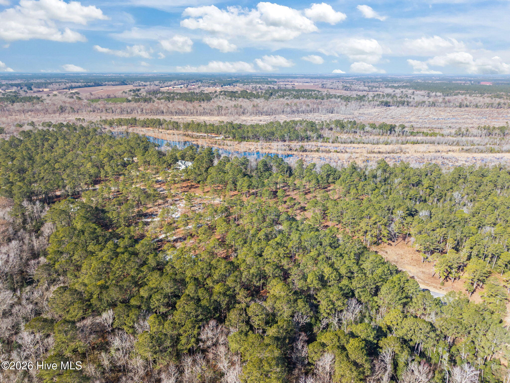 100554488 | Photo 15