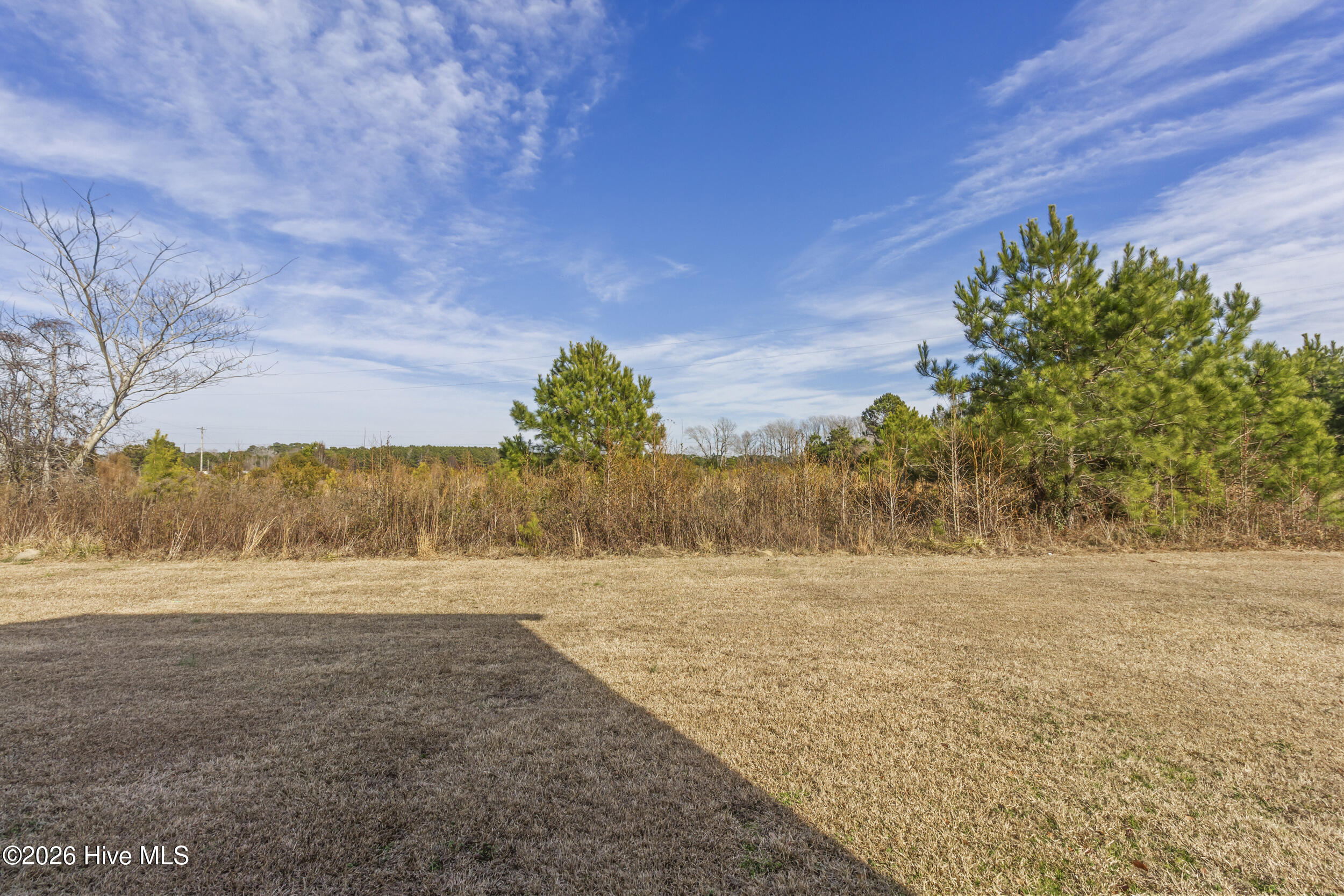 100557945 | Photo 26