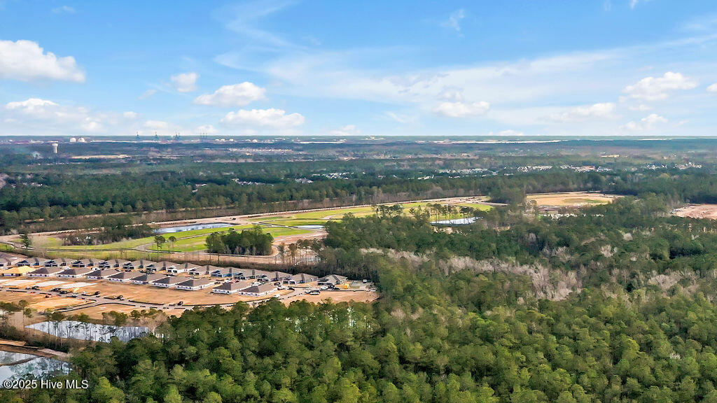 8663 Blue Haw Way Lot 137, Leland, NC 28451 – photo 23: IndigoPreserve-DRHorton-1