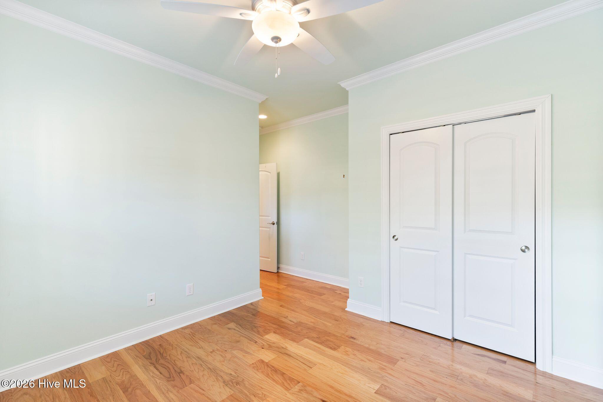 100559645 | Photo 26