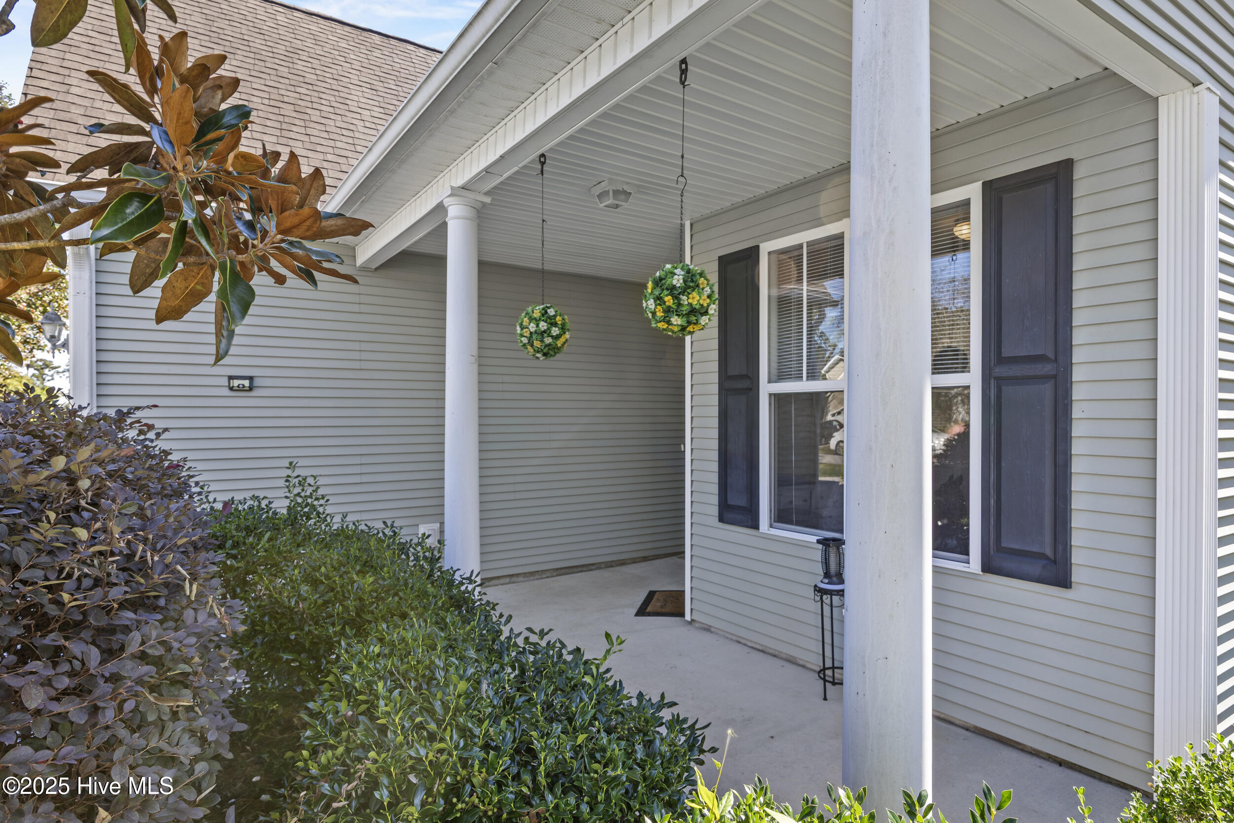 100535393 | Photo 16