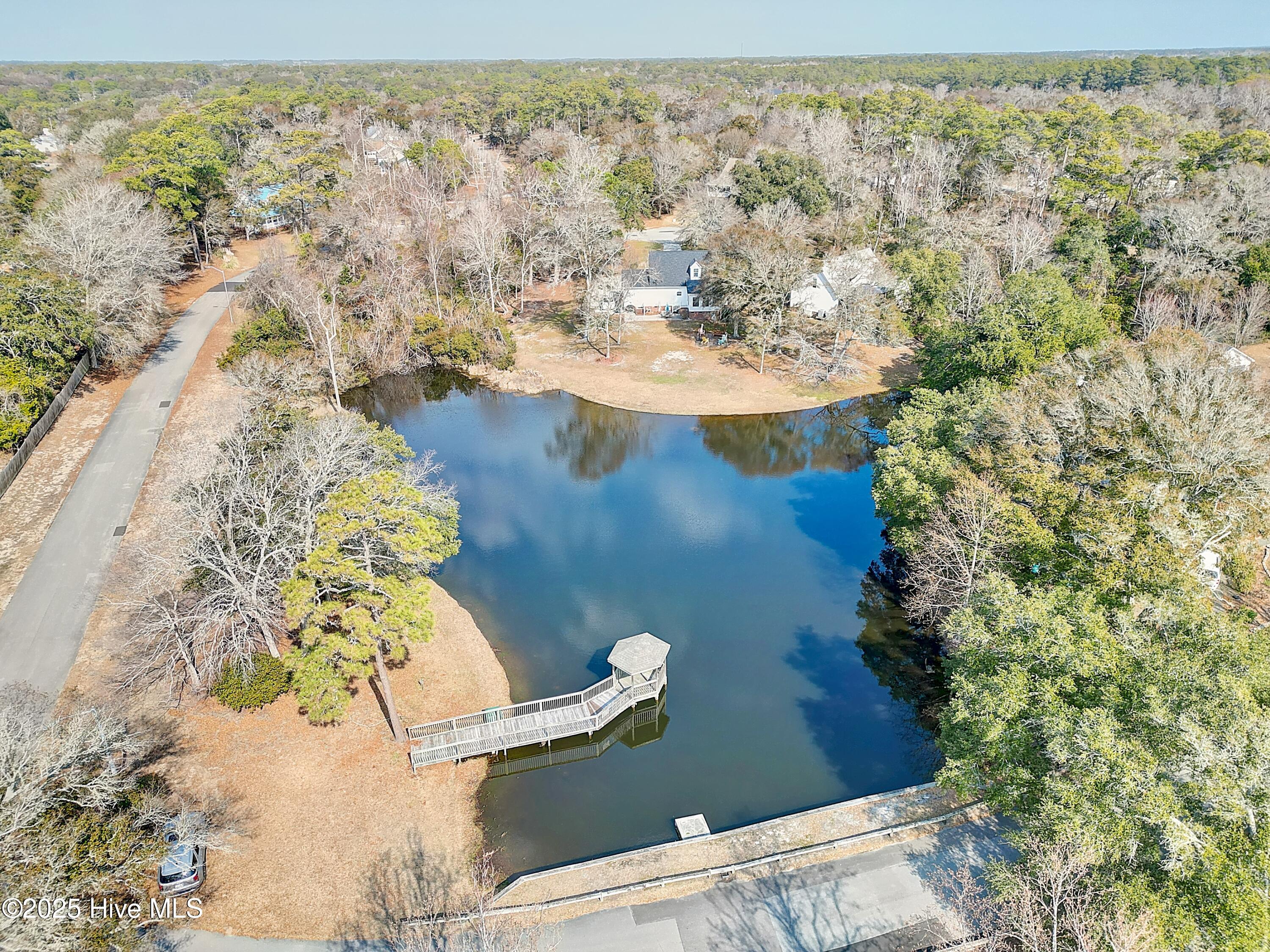 100542915 | Photo 15