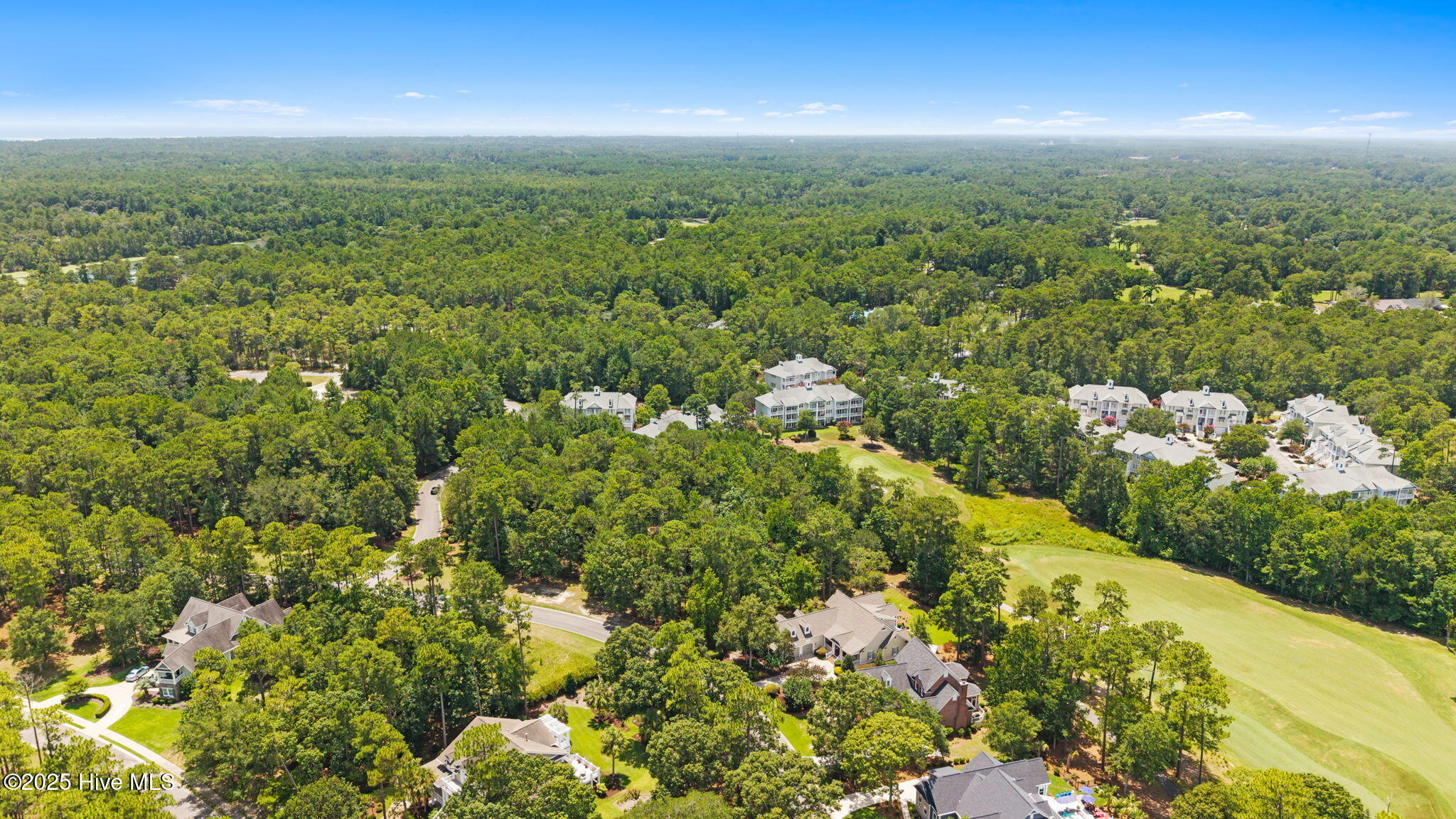 100520379 | Photo 10