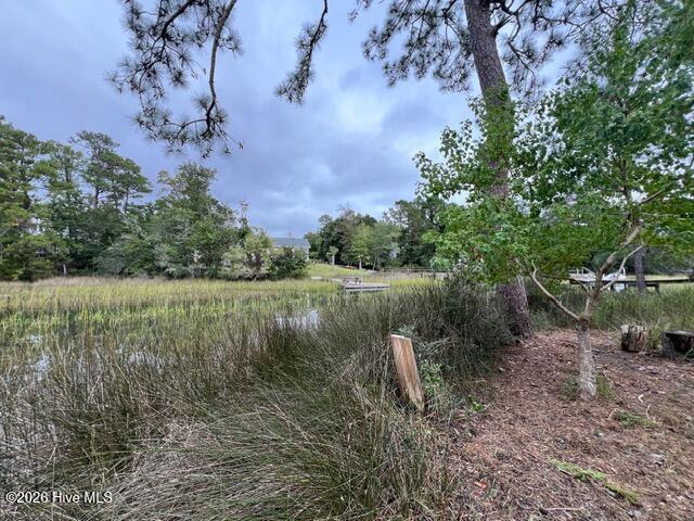 100562742 | Photo 23