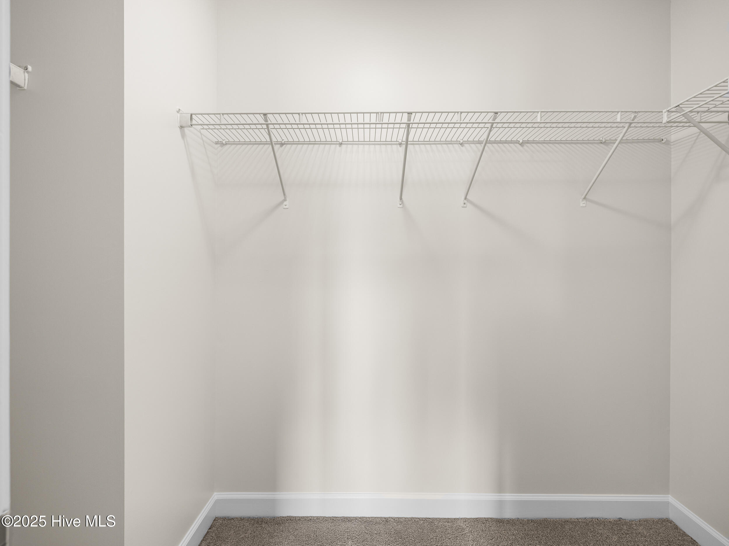 100533825 | Photo 31