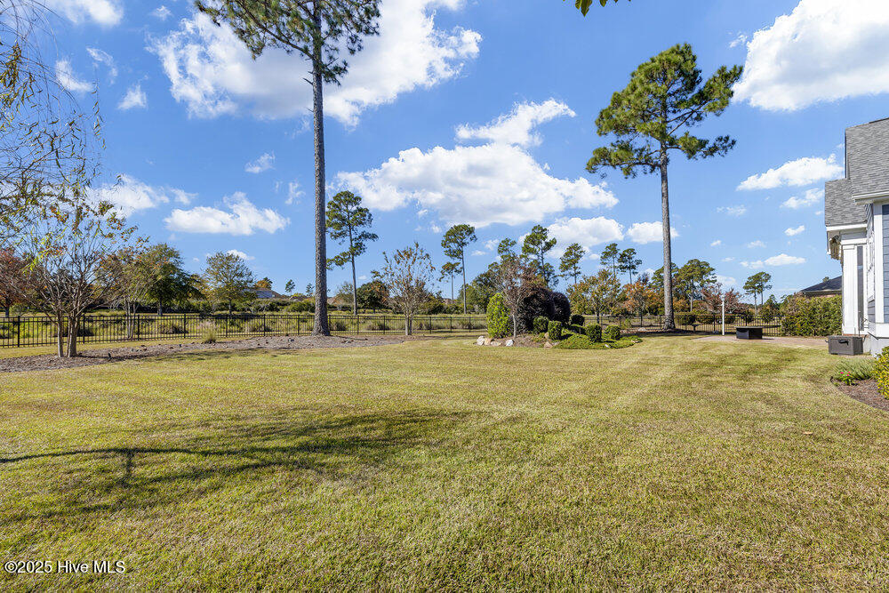 100539818 | Photo 38