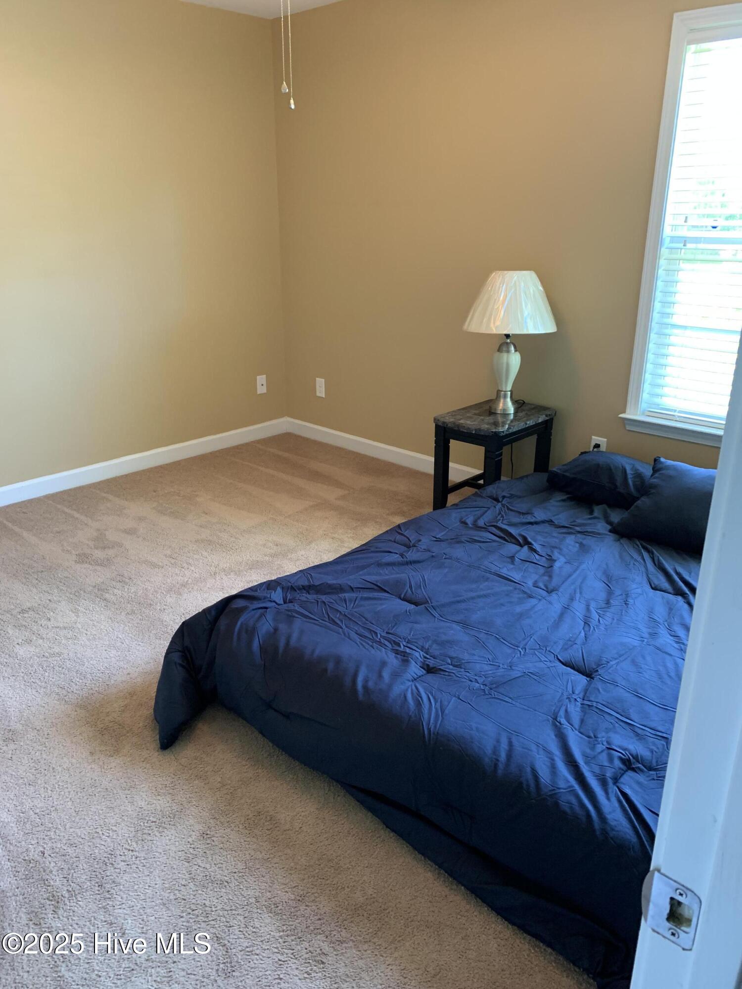 100535861 | Photo 12