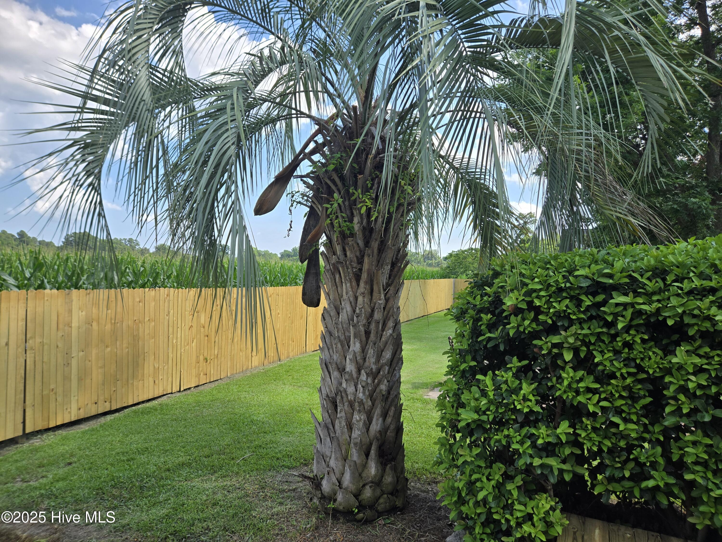 100517871 | Photo 32