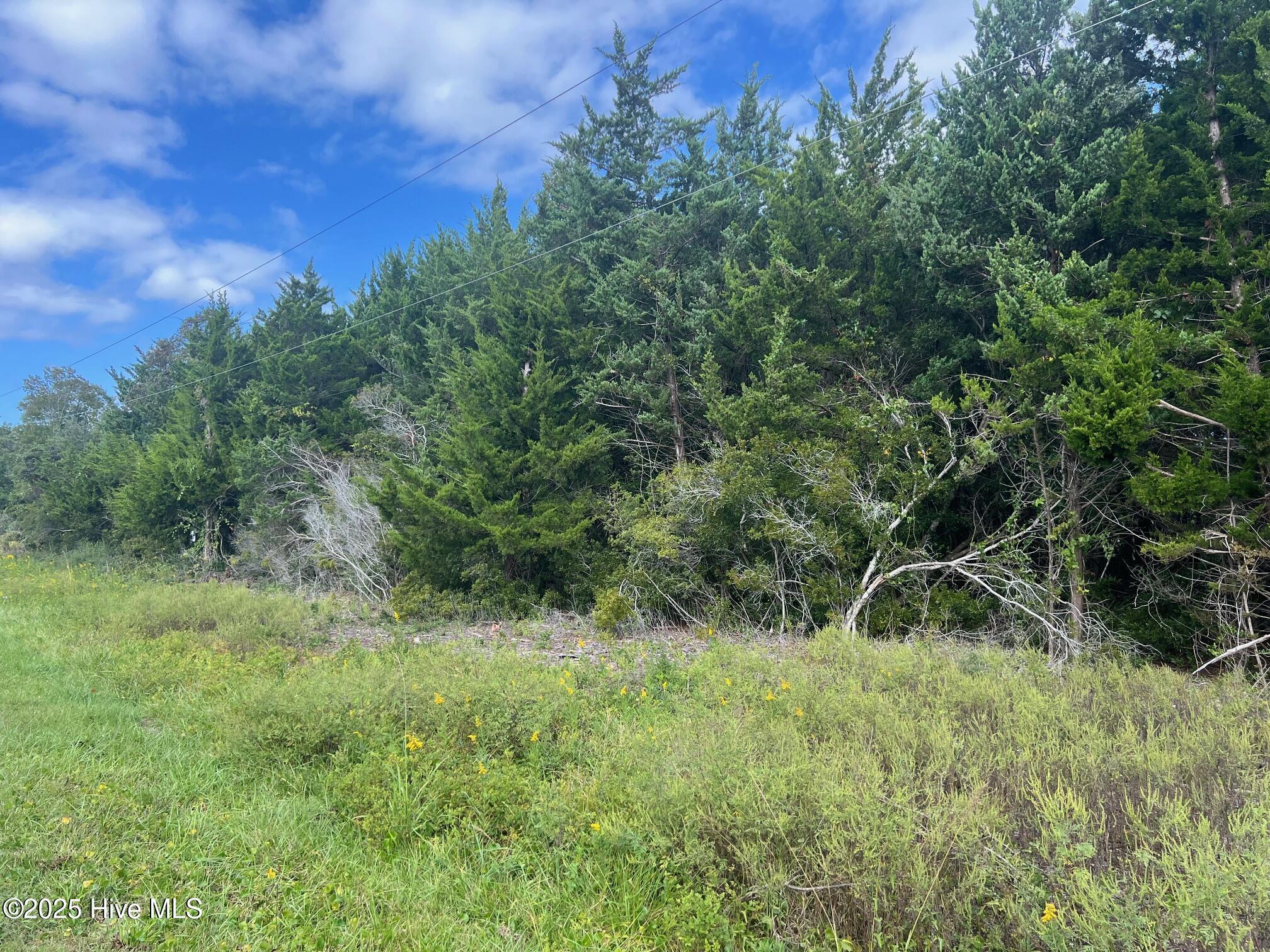 Homes for sale in Beaufort, NC | 157 Sunrise Dr, Beaufort, NC 28516 | MLS# 100538718