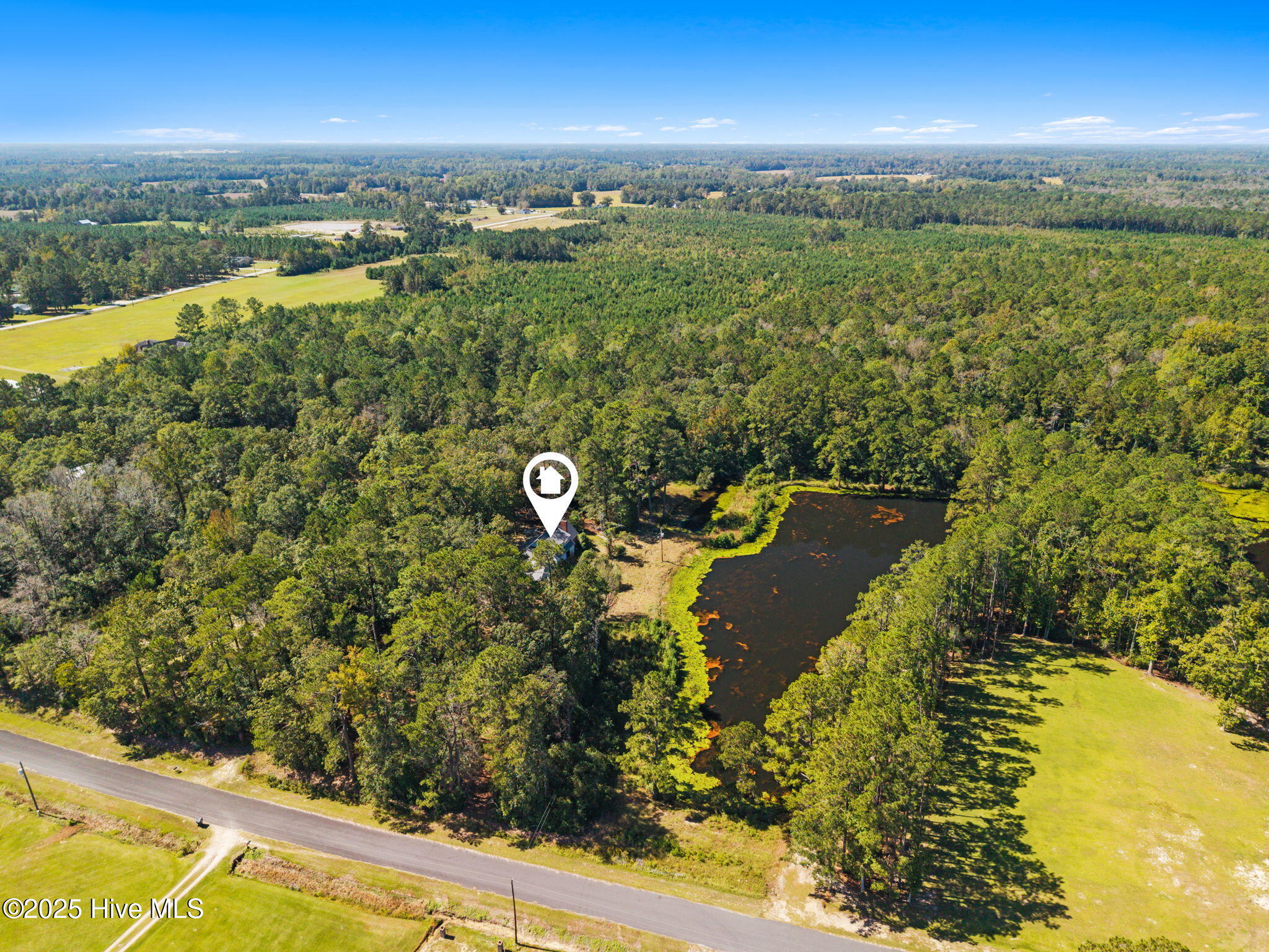 100538518 | Photo 13