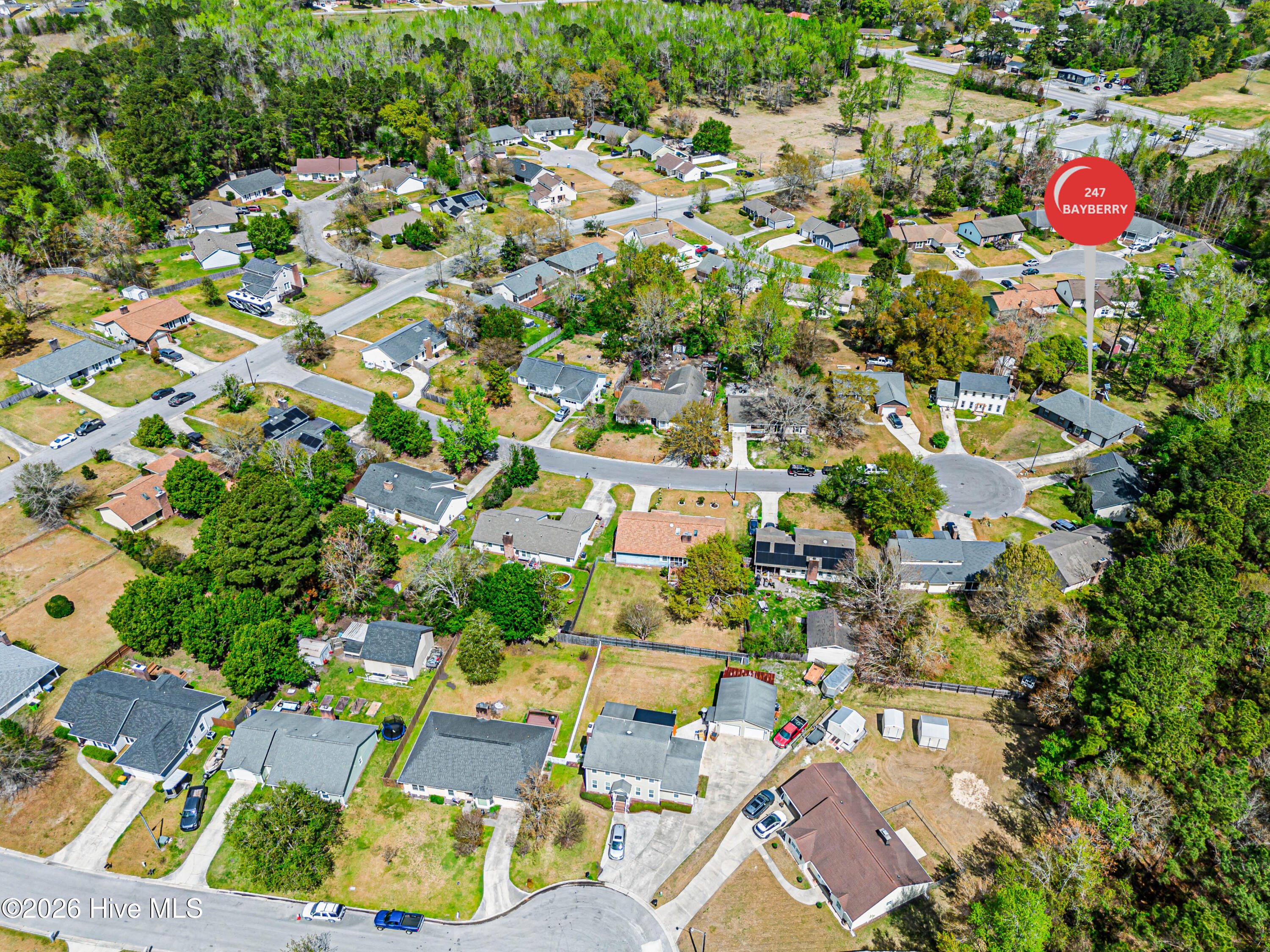 100569074 | Photo 70