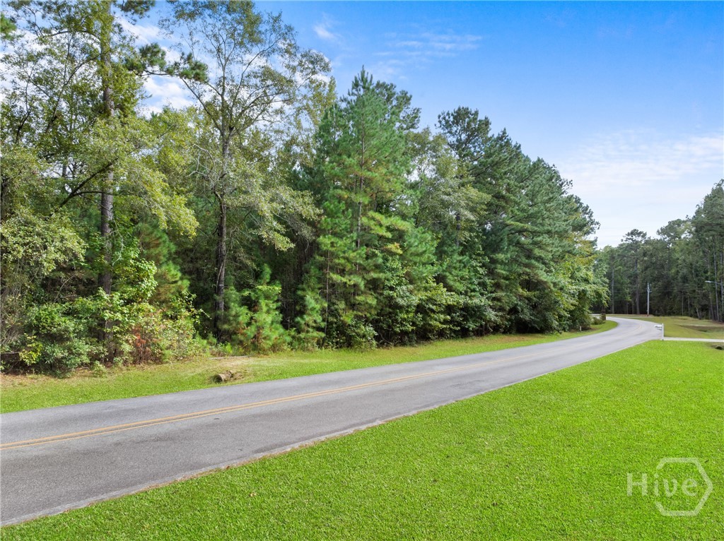 2nd image of 0 Plantation Pointe Dr, Statesboro, GA 30461 | MLS# CL352677