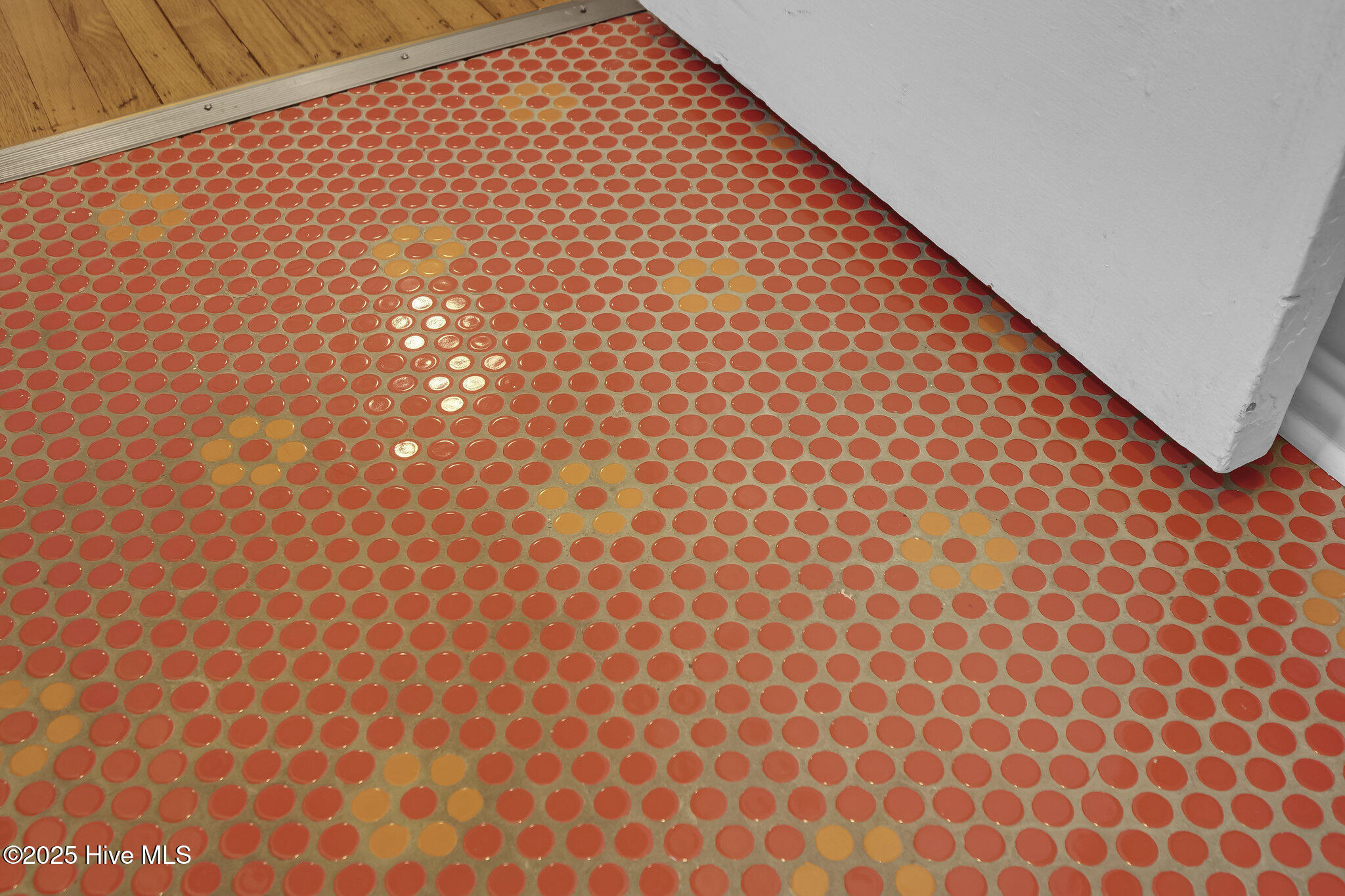 100513578 | Photo 14