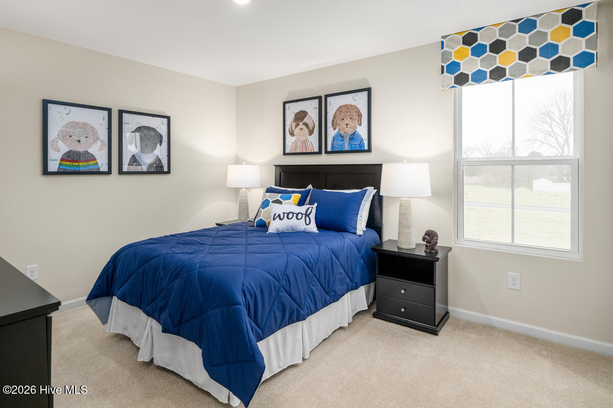 100564716 | Photo 14