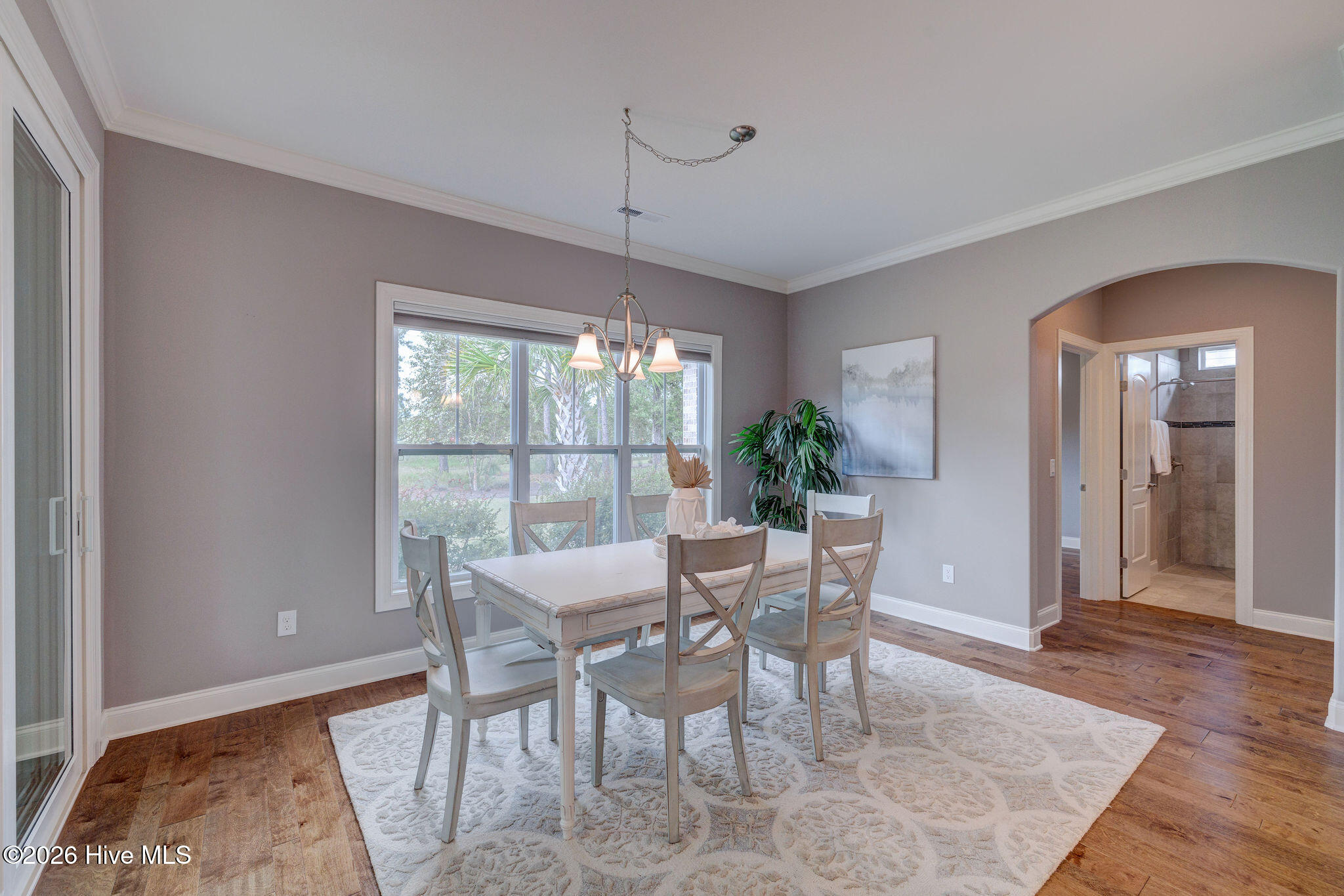 100558232 | Photo 17