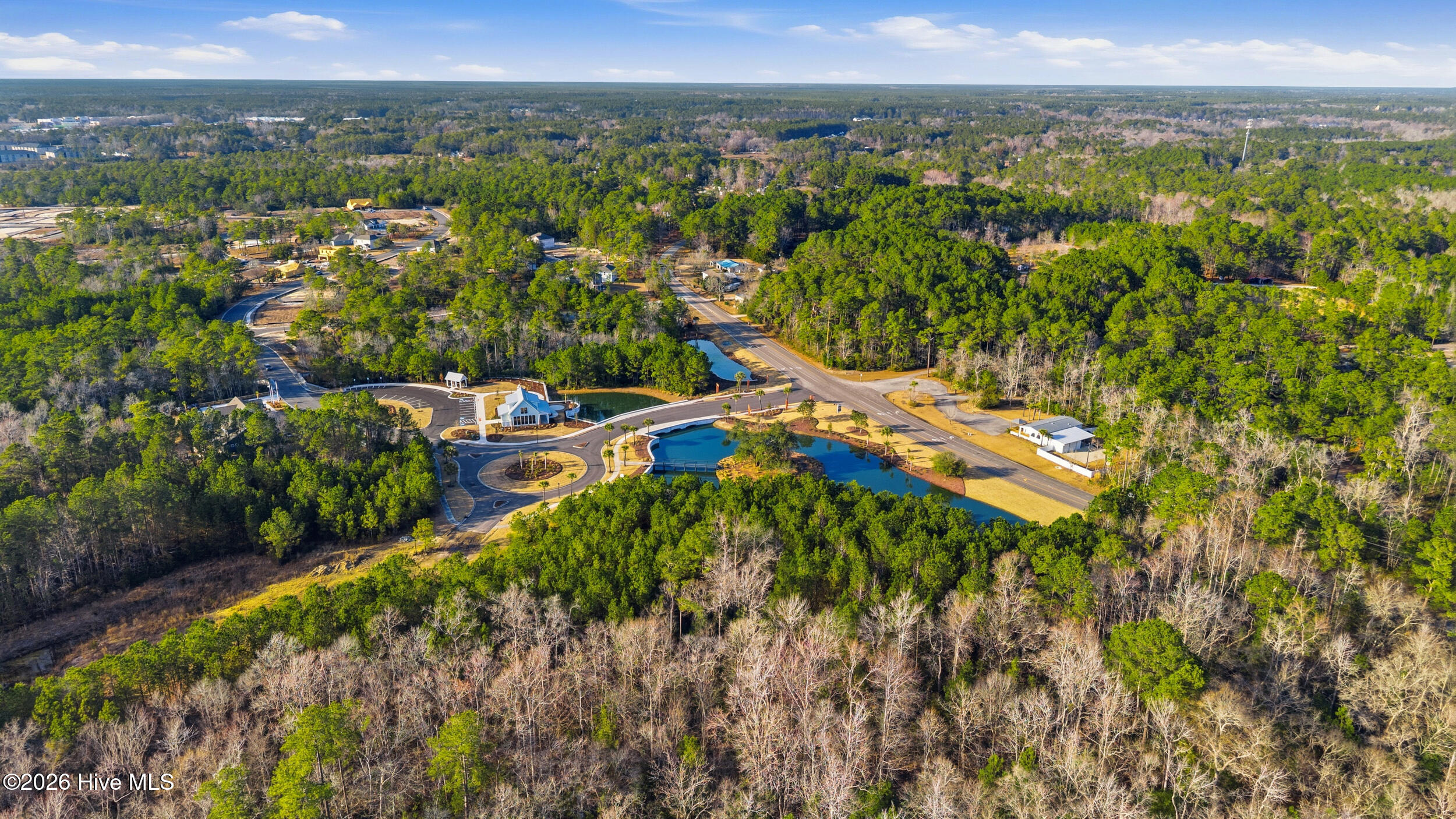 100558657 | Photo 83