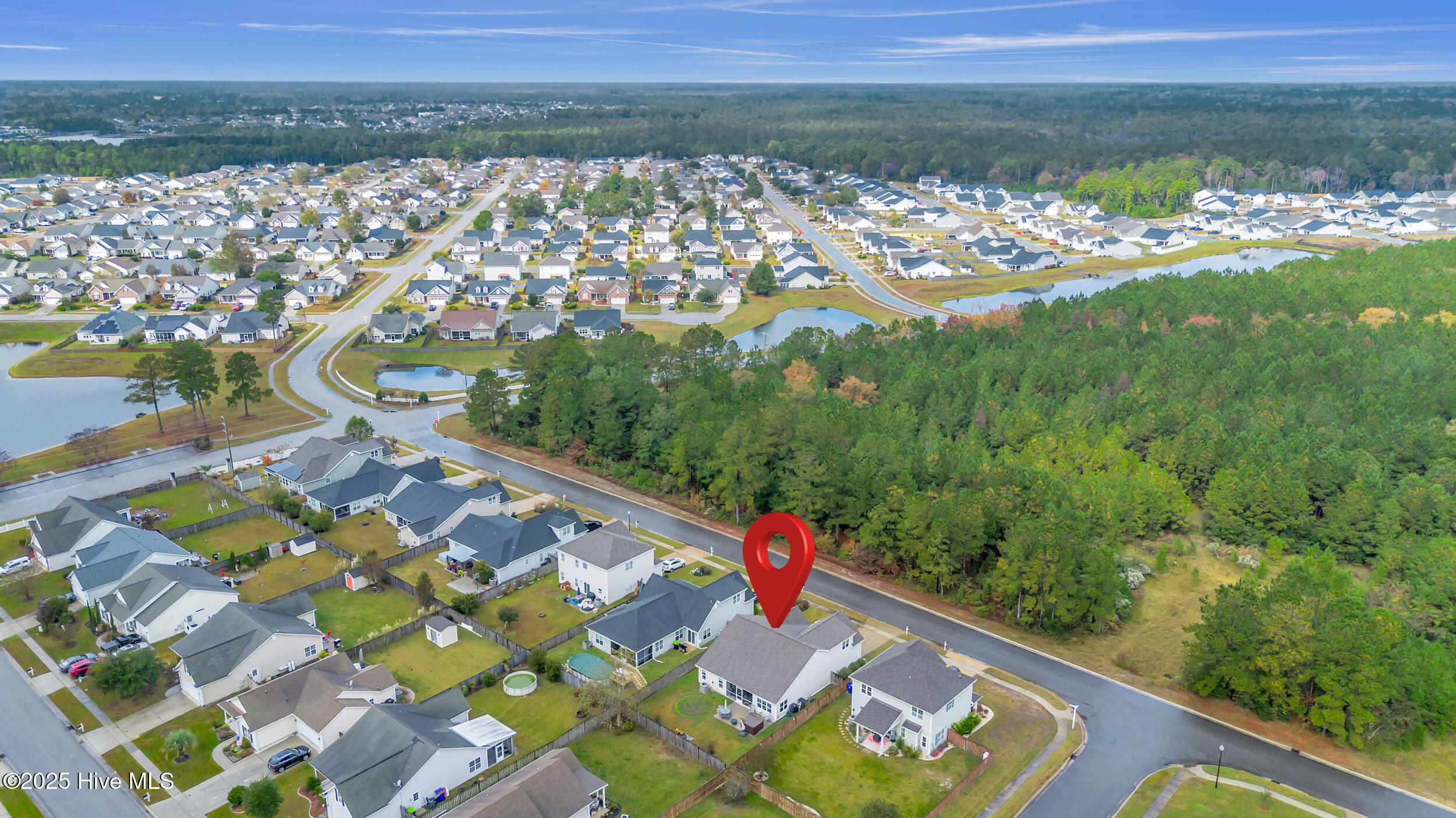 100539795 | Photo 43