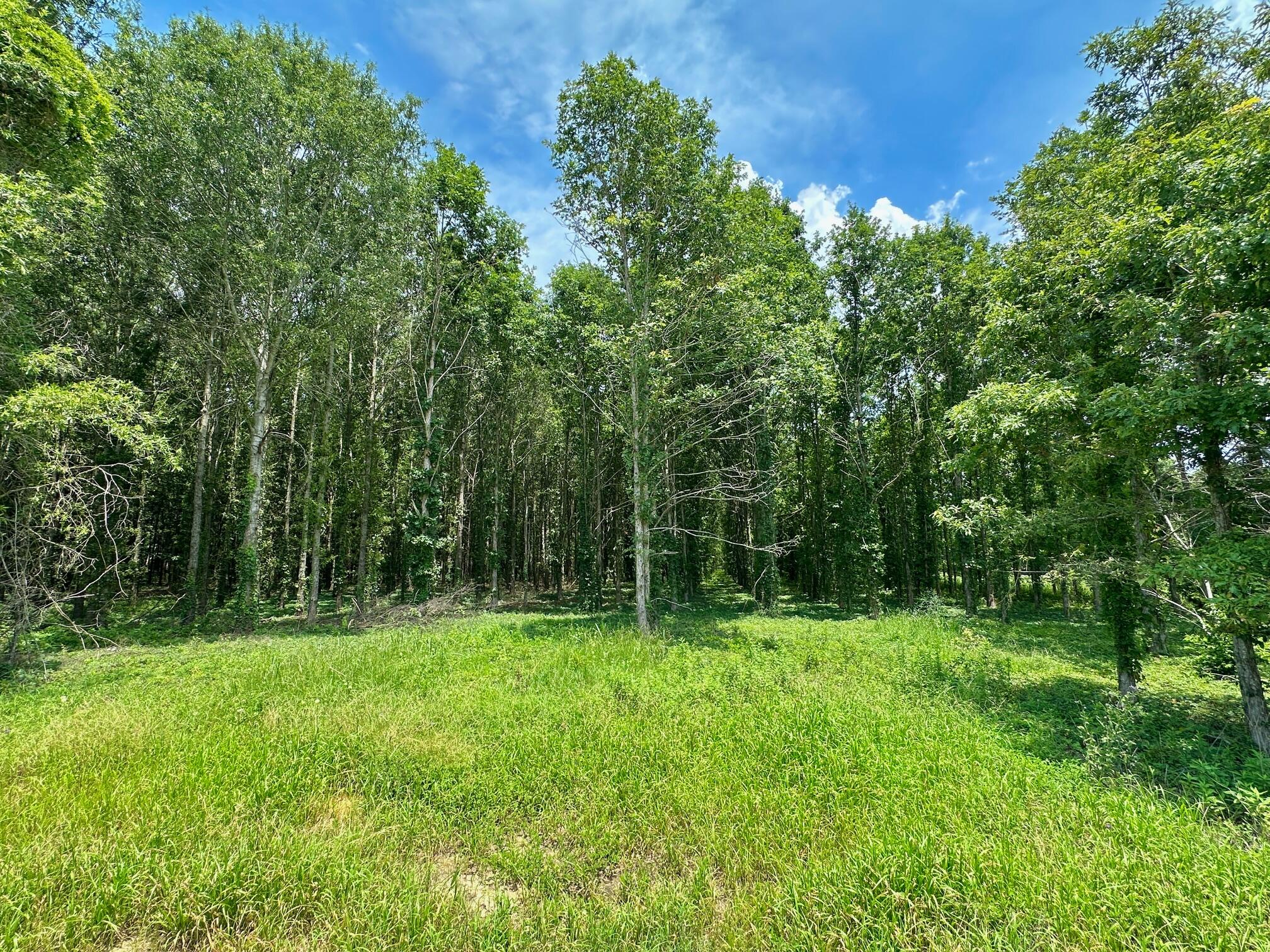 0 Chappel Road, Waynesboro, GA, 30830