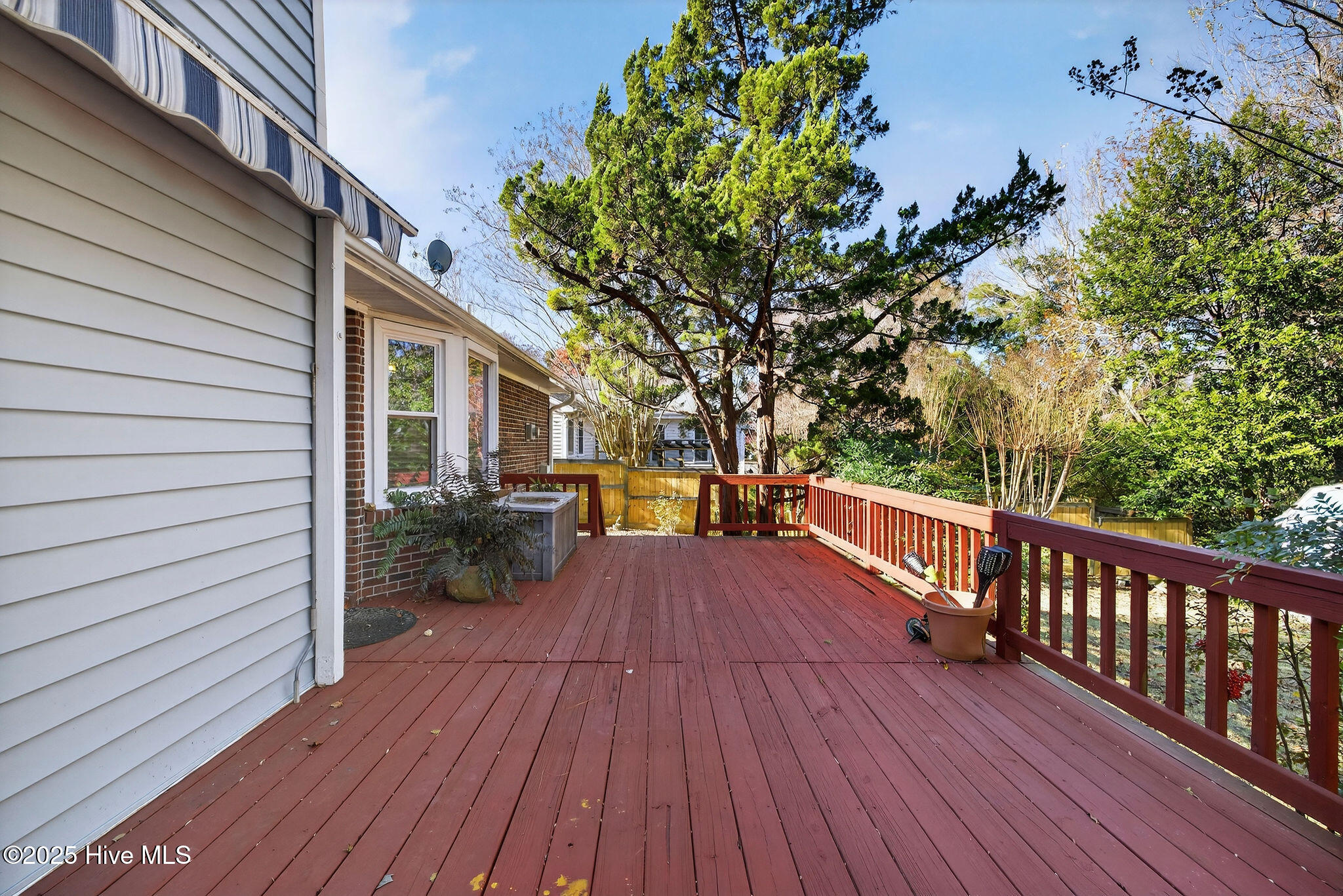 100545478 | Photo 35