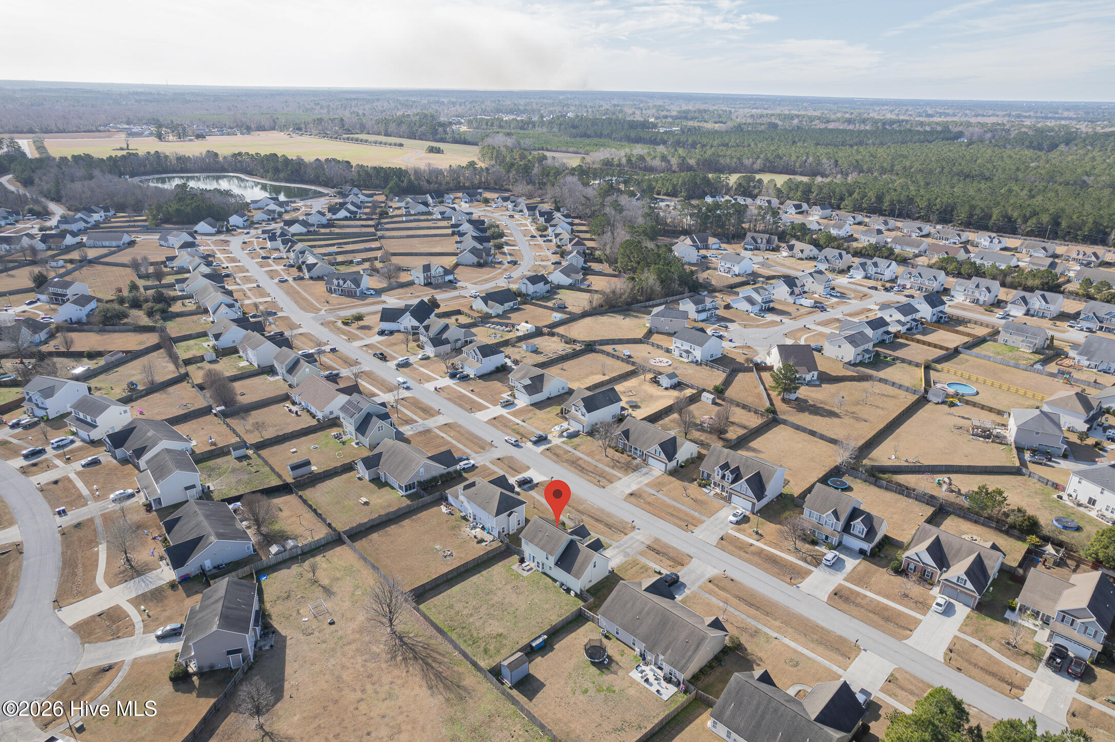 100554733 | Photo 61