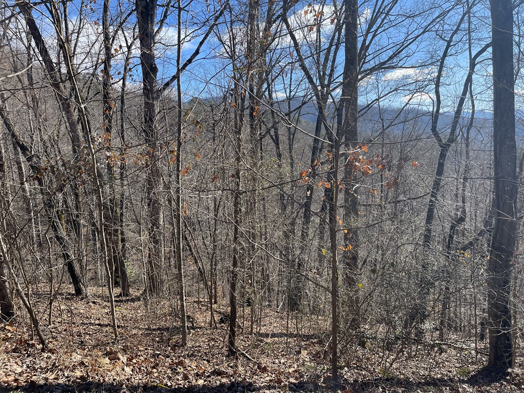 Exterior photo of Lot 37C Ash Branch Circle, Hayesville, NC 28904. MLS: 98525053