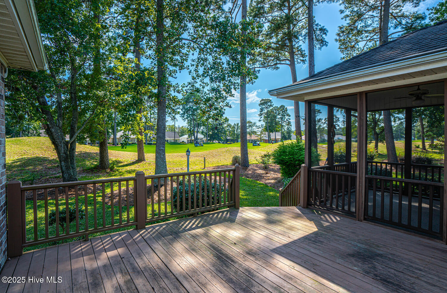 100538756 | Photo 39