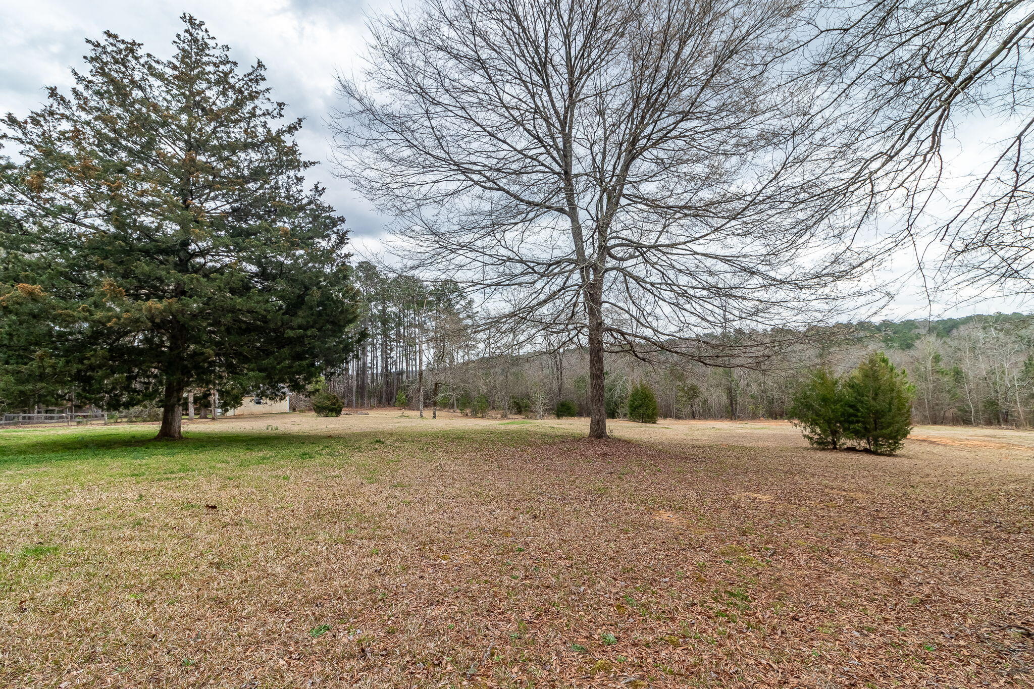 54-web-or-mls-1545 SWINT RD ©-1105