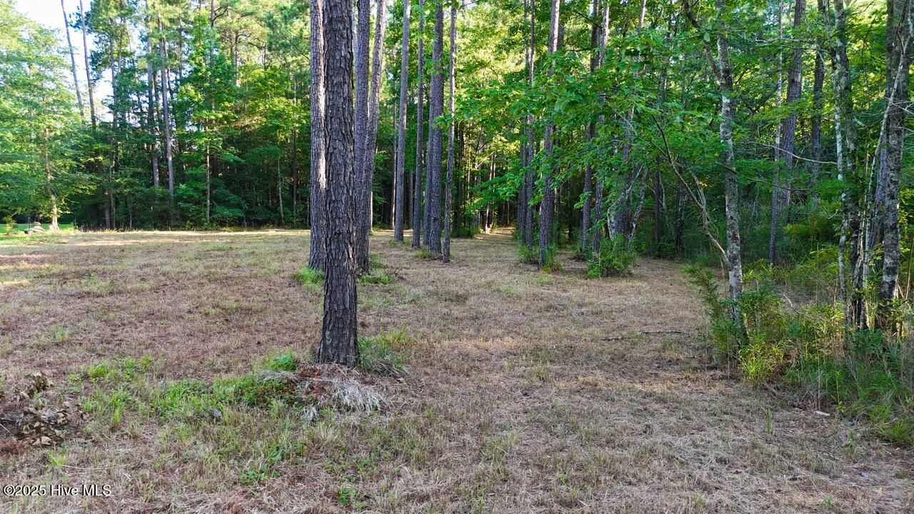 394 Bay Shores Road, Merritt, NC, 28556