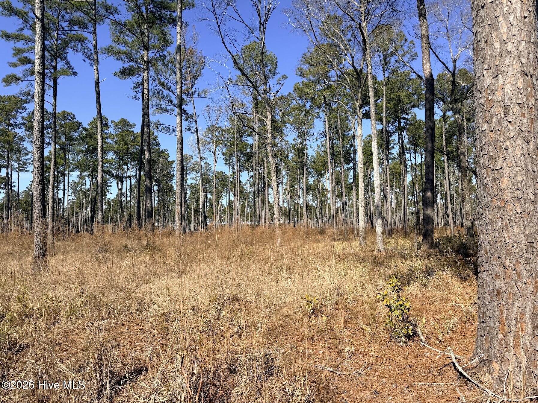 Homes for sale in Chocowinity, NC | 0 Sr 1119 Off, Chocowinity, NC 27817 | MLS# 100551018