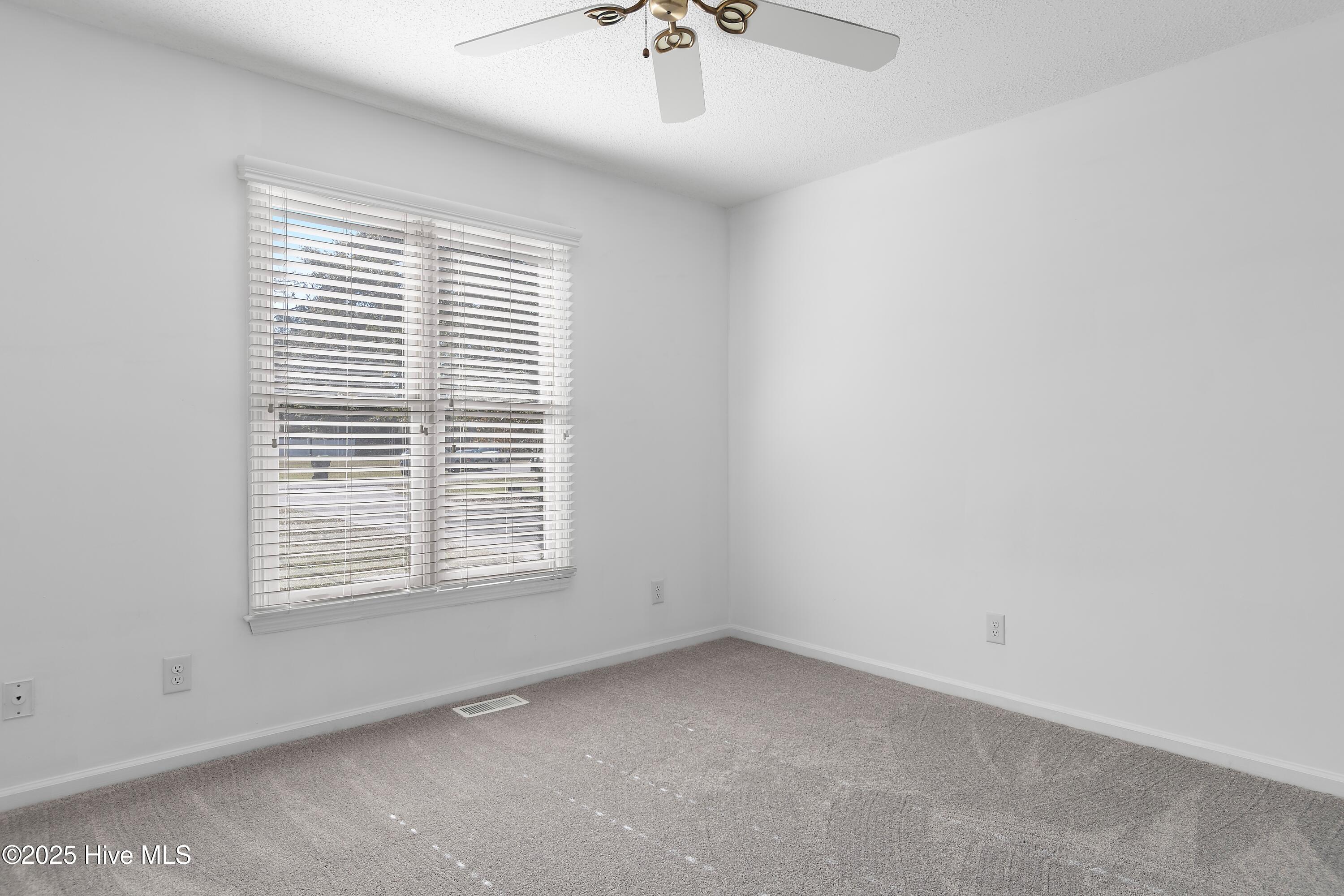 100539605 | Photo 26