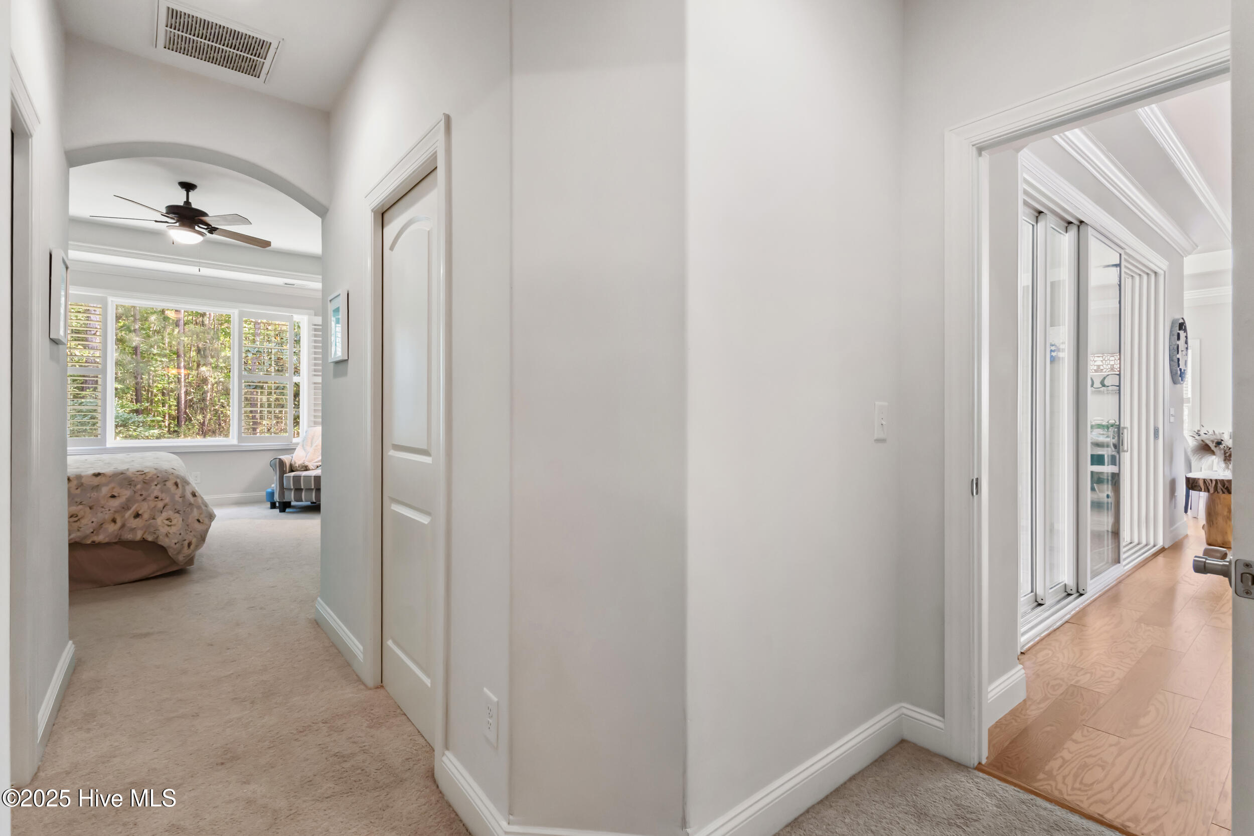 100506544 | Photo 24