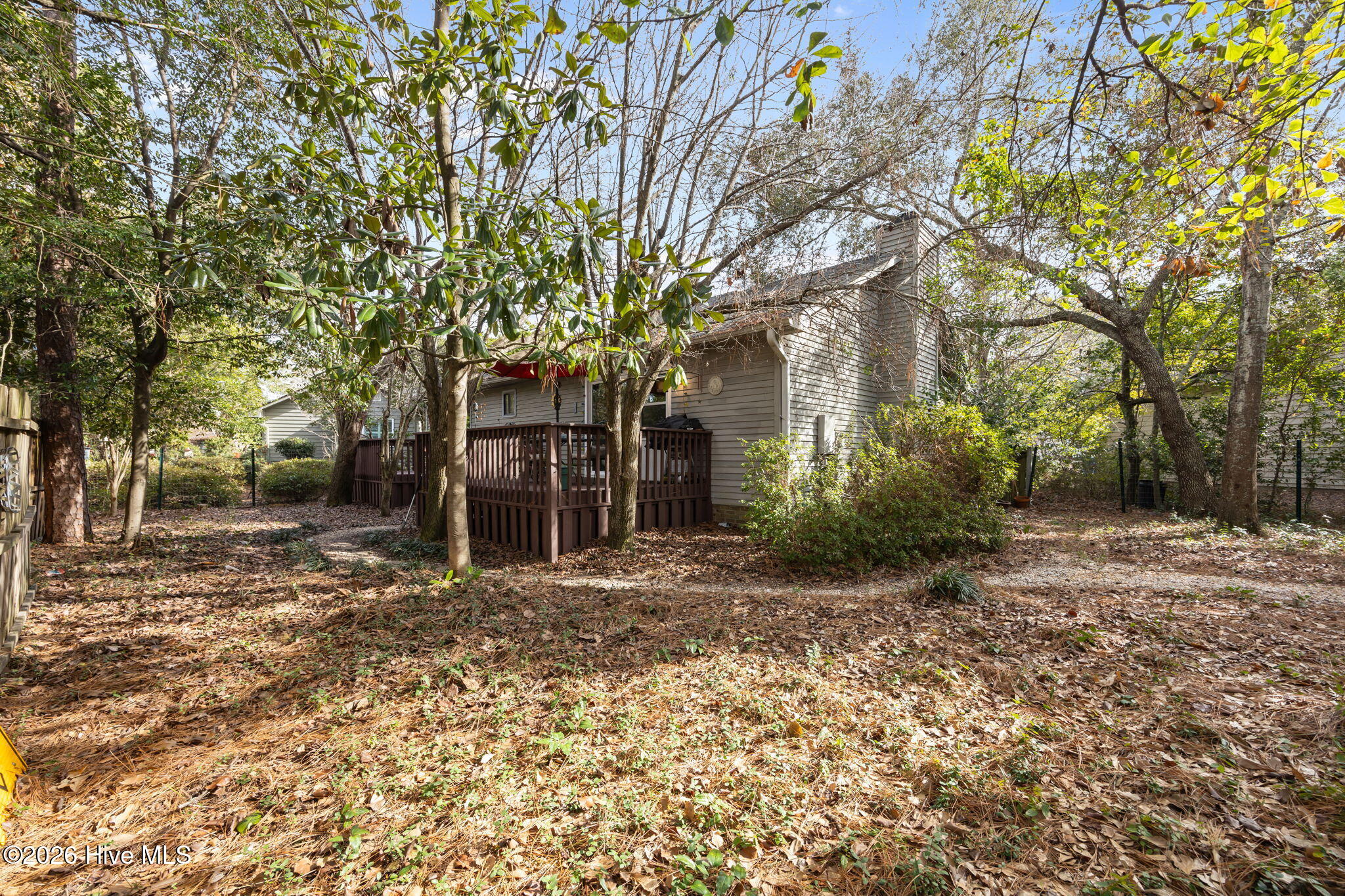 100552337 | Photo 34