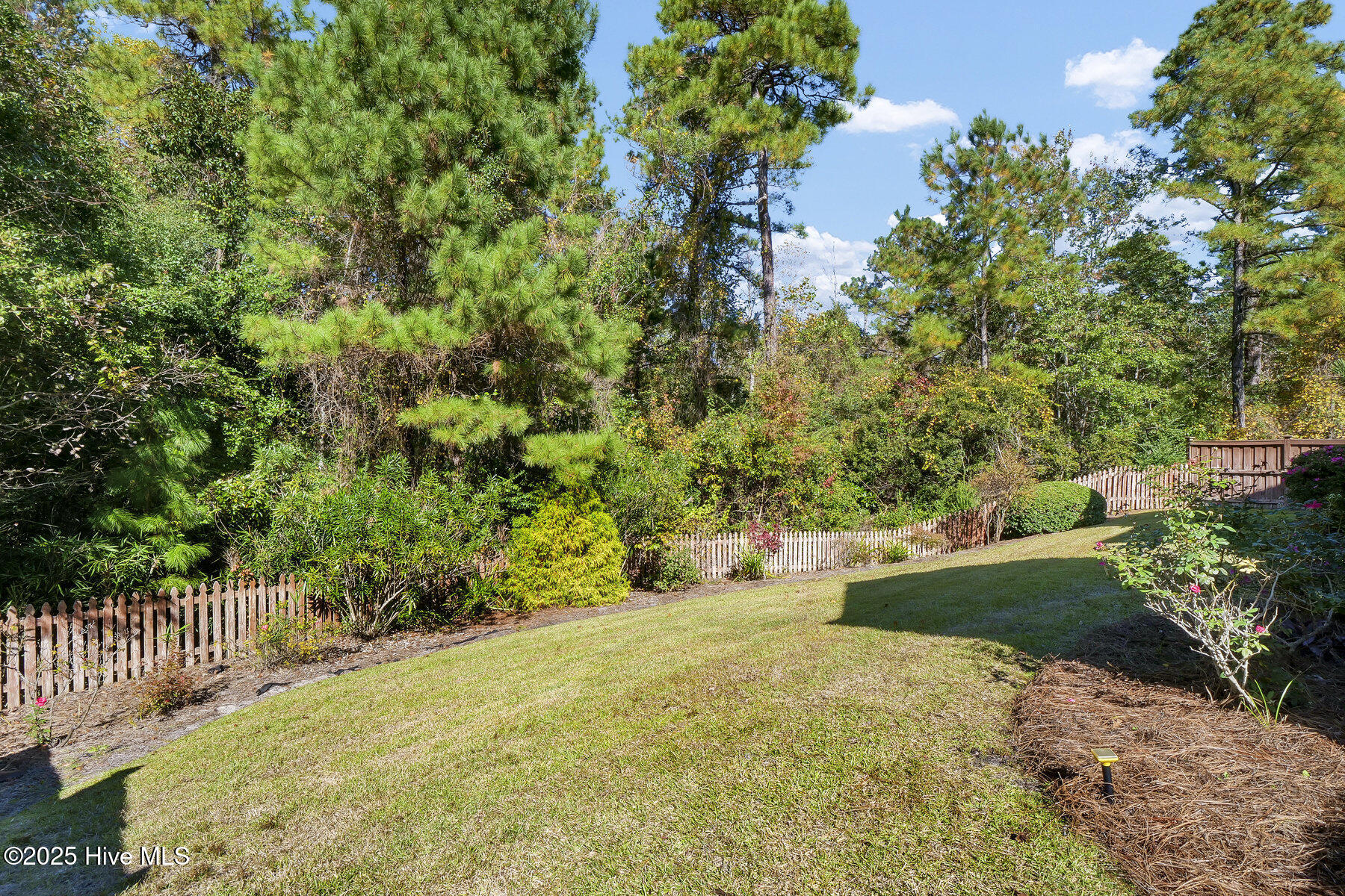 100540144 | Photo 42