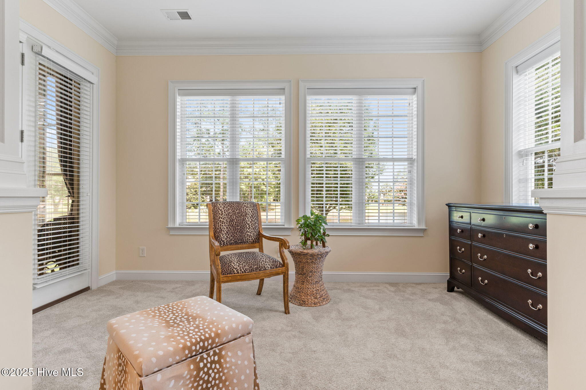 100518405 | Photo 33