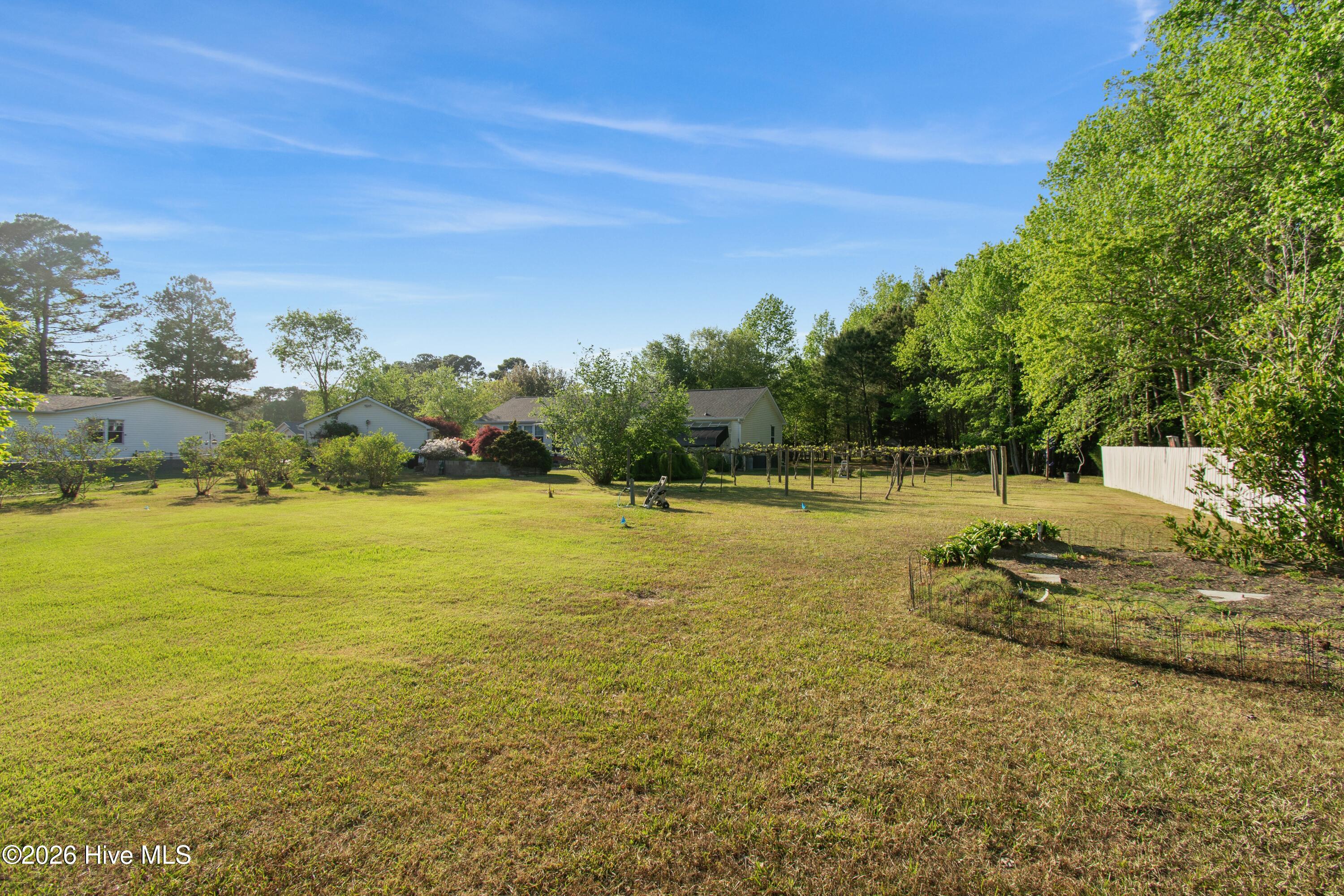 100568231 | Photo 17