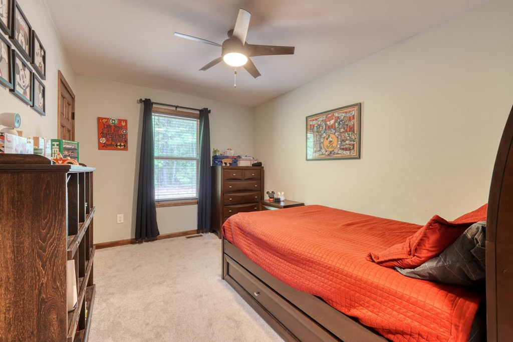 290 Butterball Boulevard, Murphy, NC 28906 Listing Photo  34